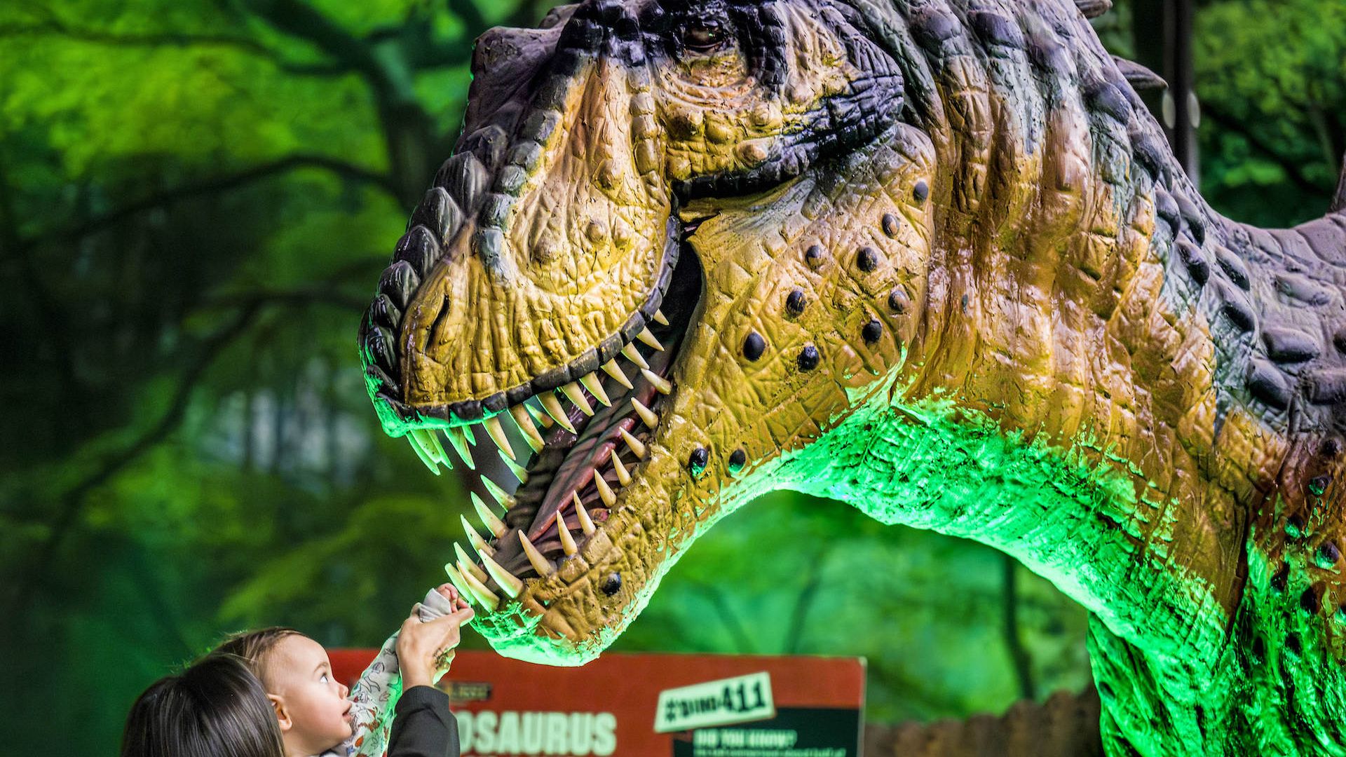 A mom lifts her baby to touch a life-size animatronic dinosaur. 