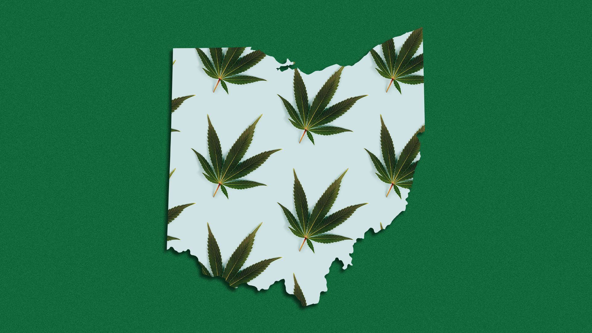 Illustration of a pattern of marijuana leaves filling the state of Ohio.