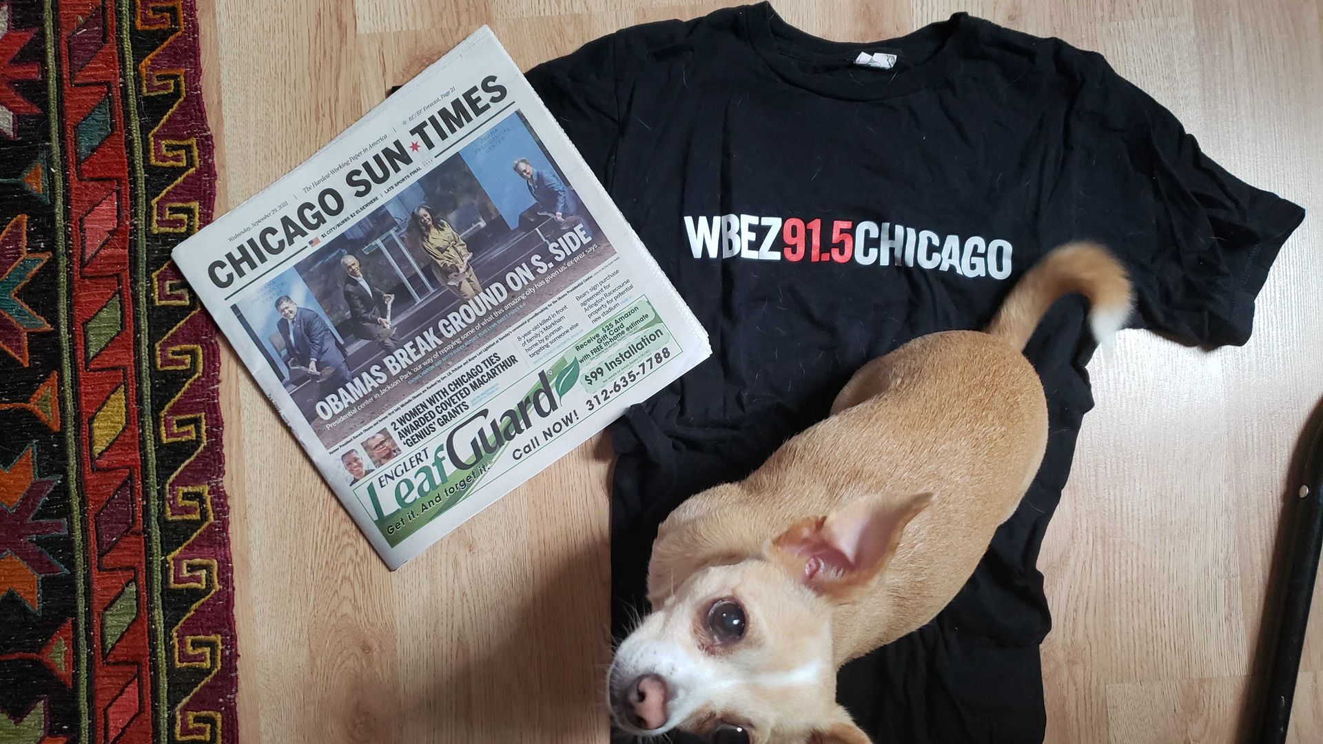 A photo of a Sun-Times newspaper and a WBEZ t-shirt and Monica's dog. 