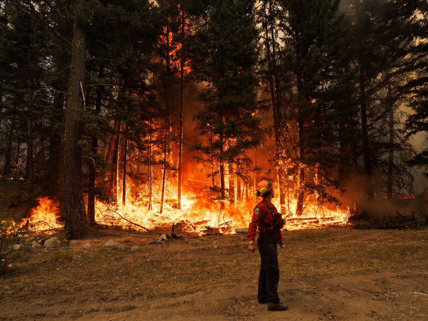 New science tells us why fire is a growing threat