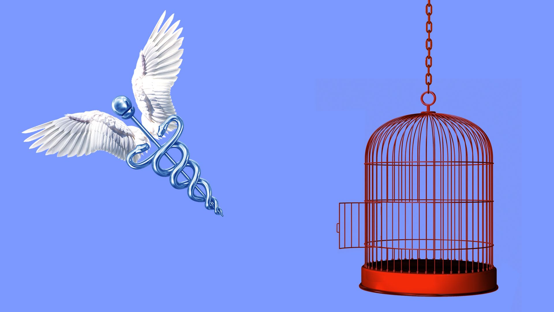 A bird with an AMA symbol flying out of a cage