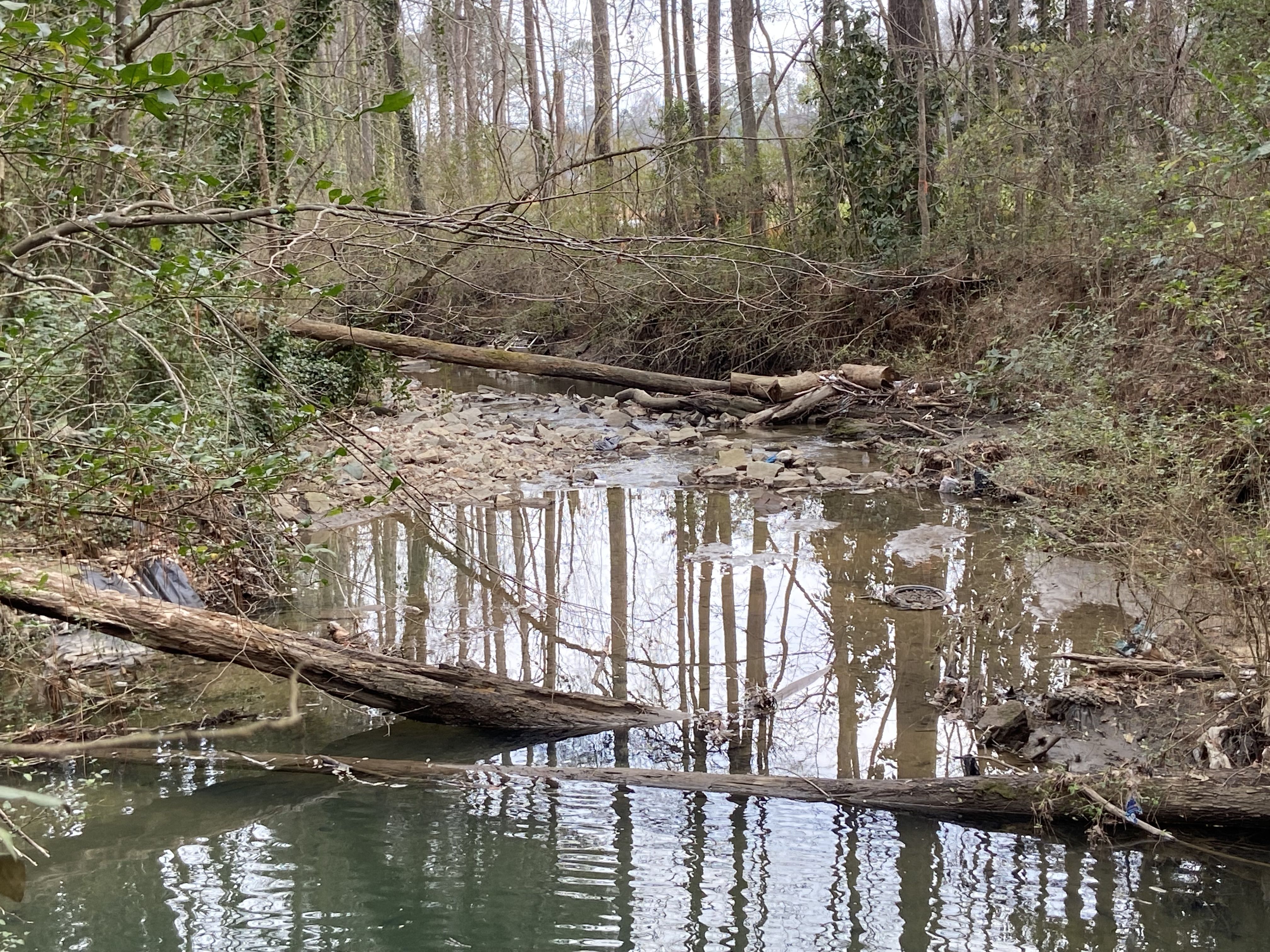 A creek in the winter with downed trees crossing the water