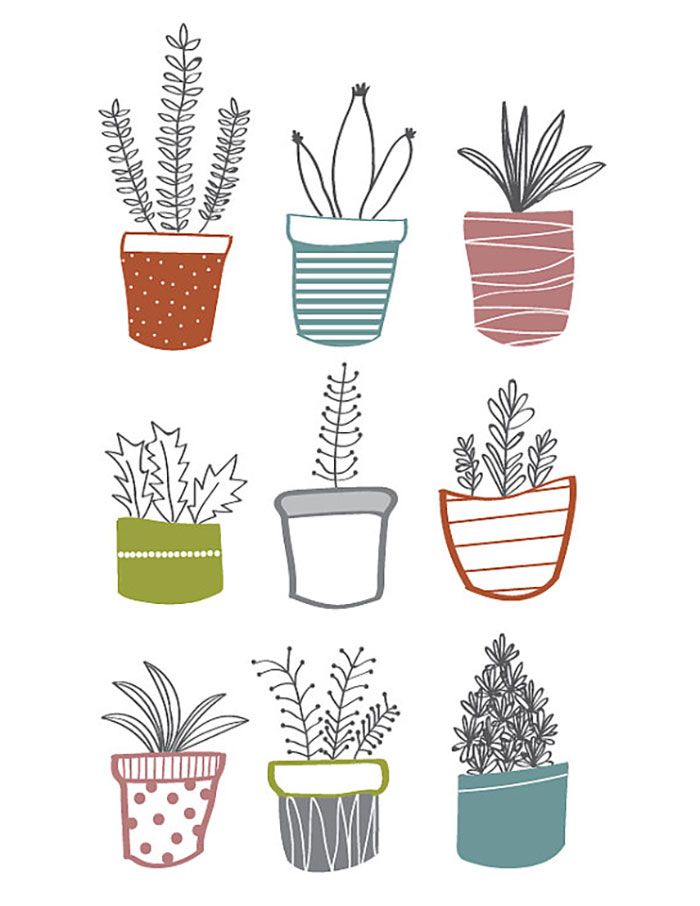 molly-currens-succelent print