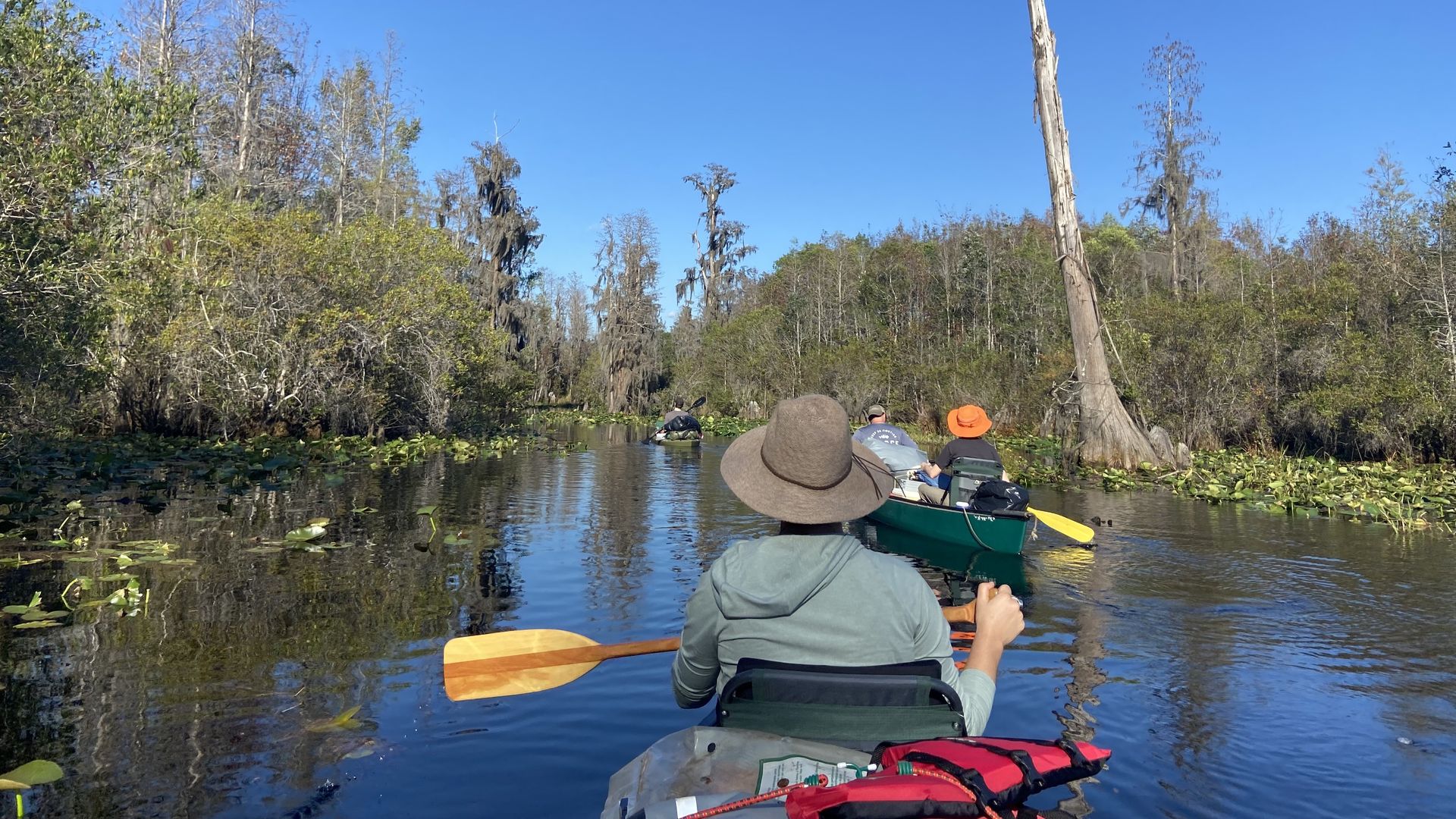Back of a woman kayaking in the Okefenokee Swamp