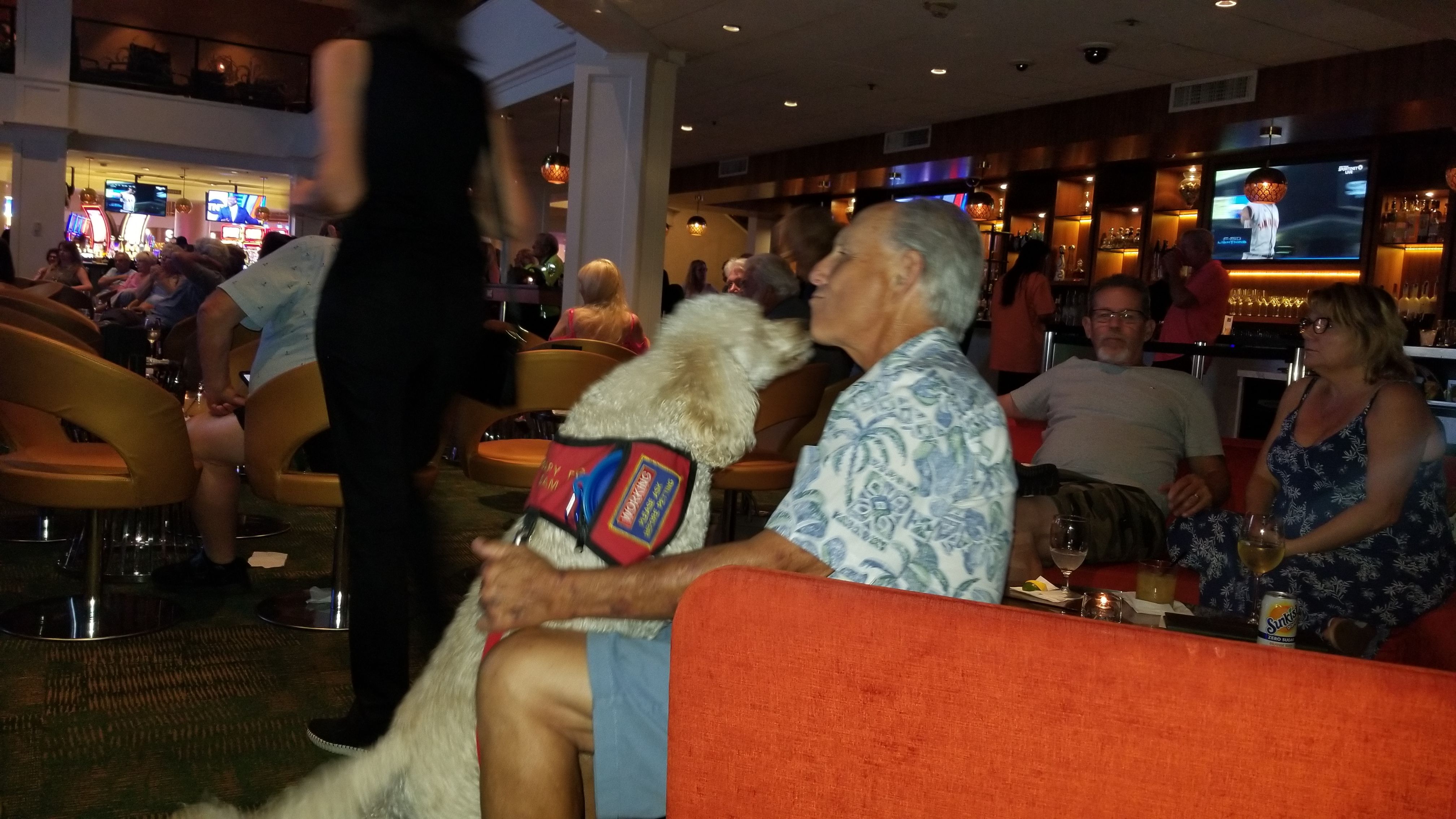 A poodle named Sam offers therapeutic kisses to a senior citizen at a casino.
