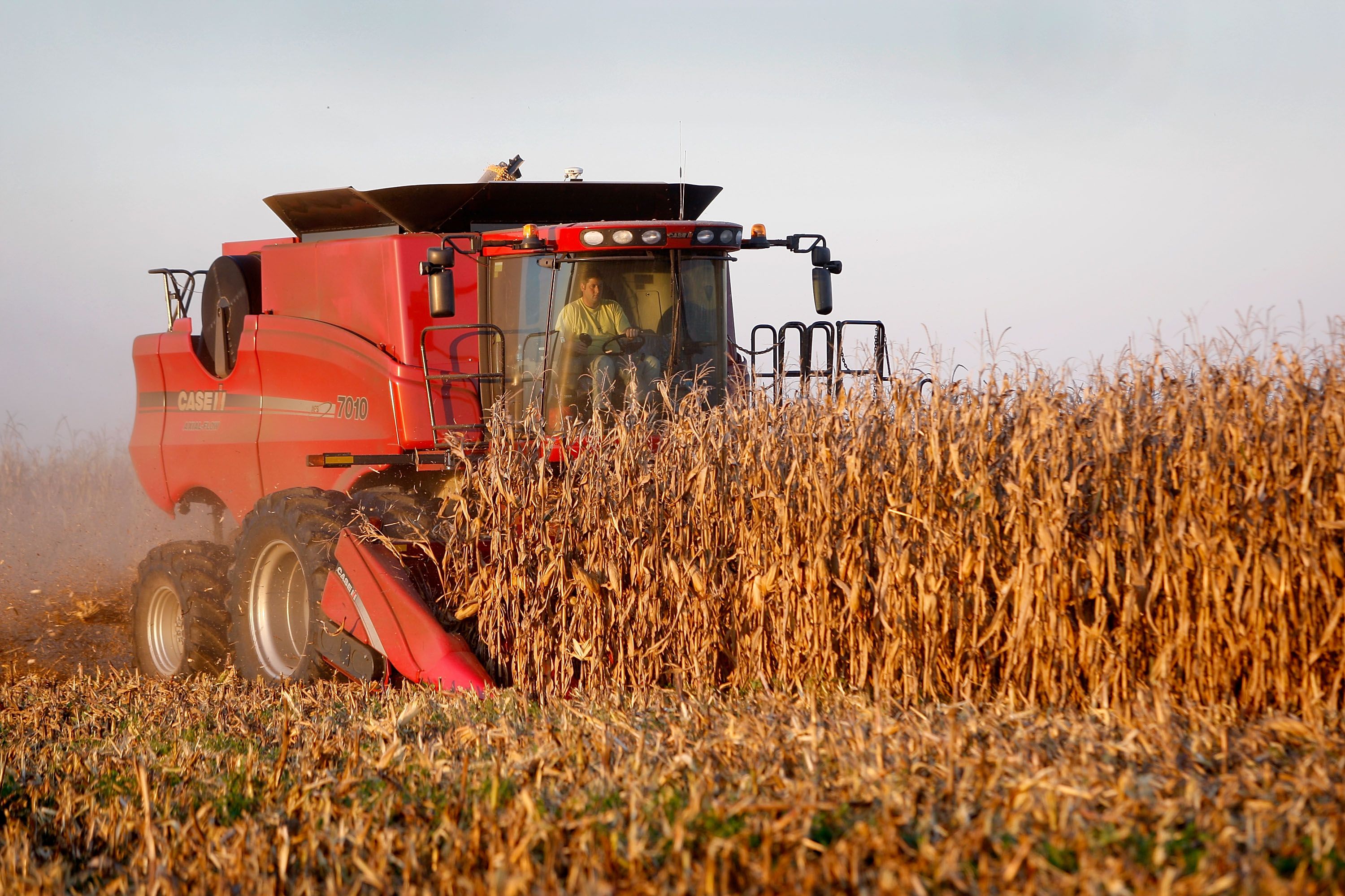 Photo of a tractor mowing down corn stalks in an open field. 