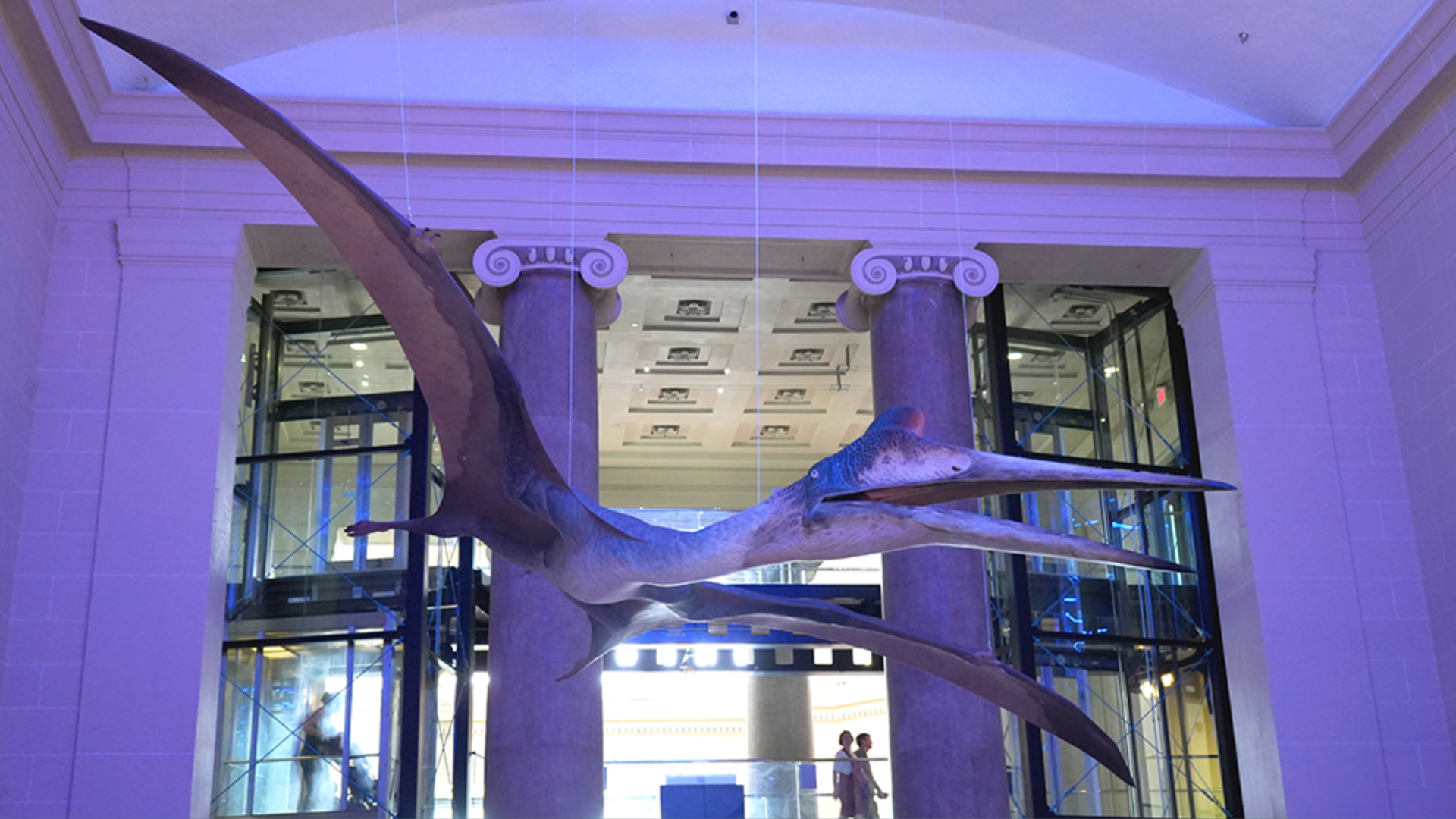 A giant dinosaur looking bird