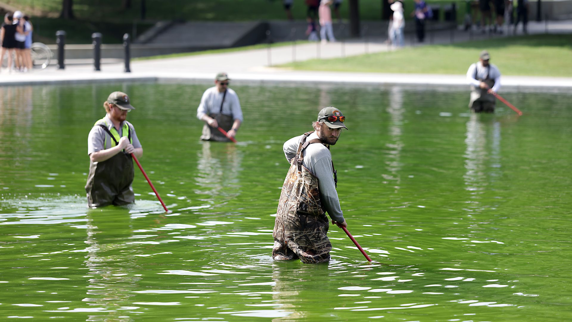 Three men in waders stand in a green body of water, handling long-handled nets; foreground figures wear camouflage and caps, with a park and blurred pedestrians in the background.