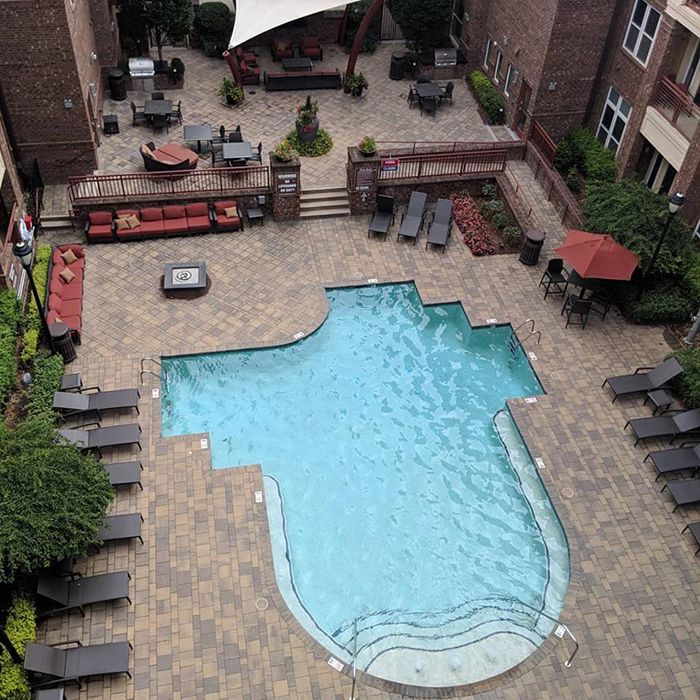 metro 808 pool in plaza midwood charlotte