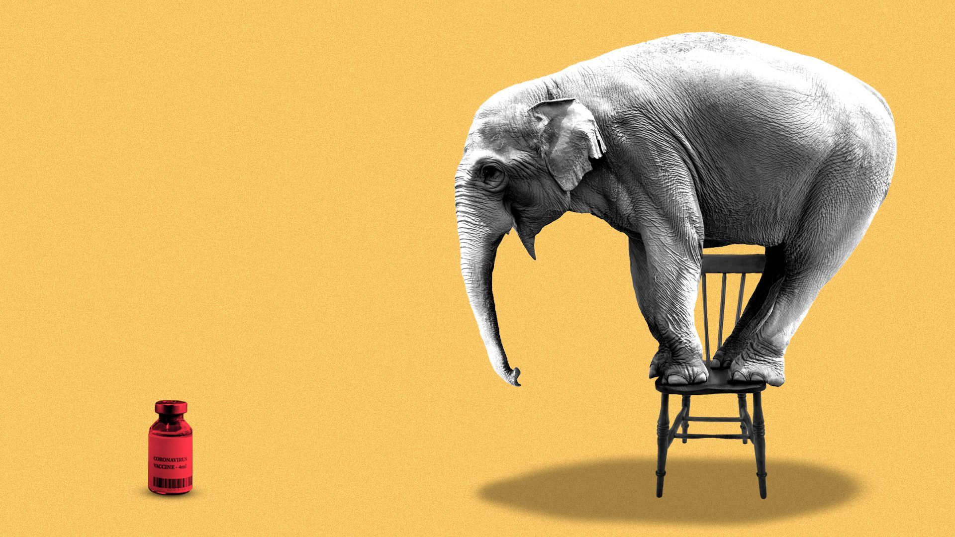 Illustration of an elephant standing on a chair because he is afraid of a vaccine vial.