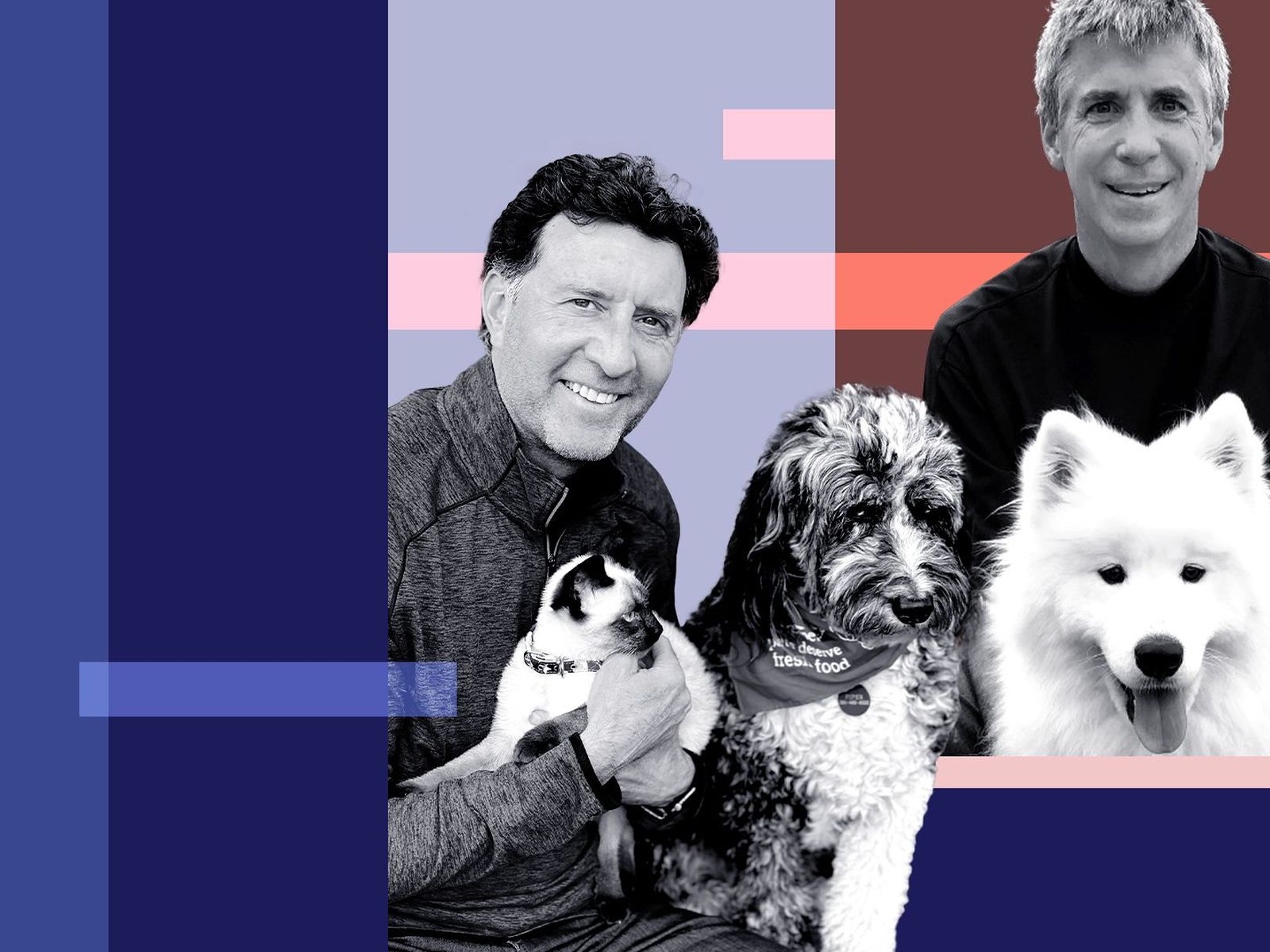 Freshpet ceo deals