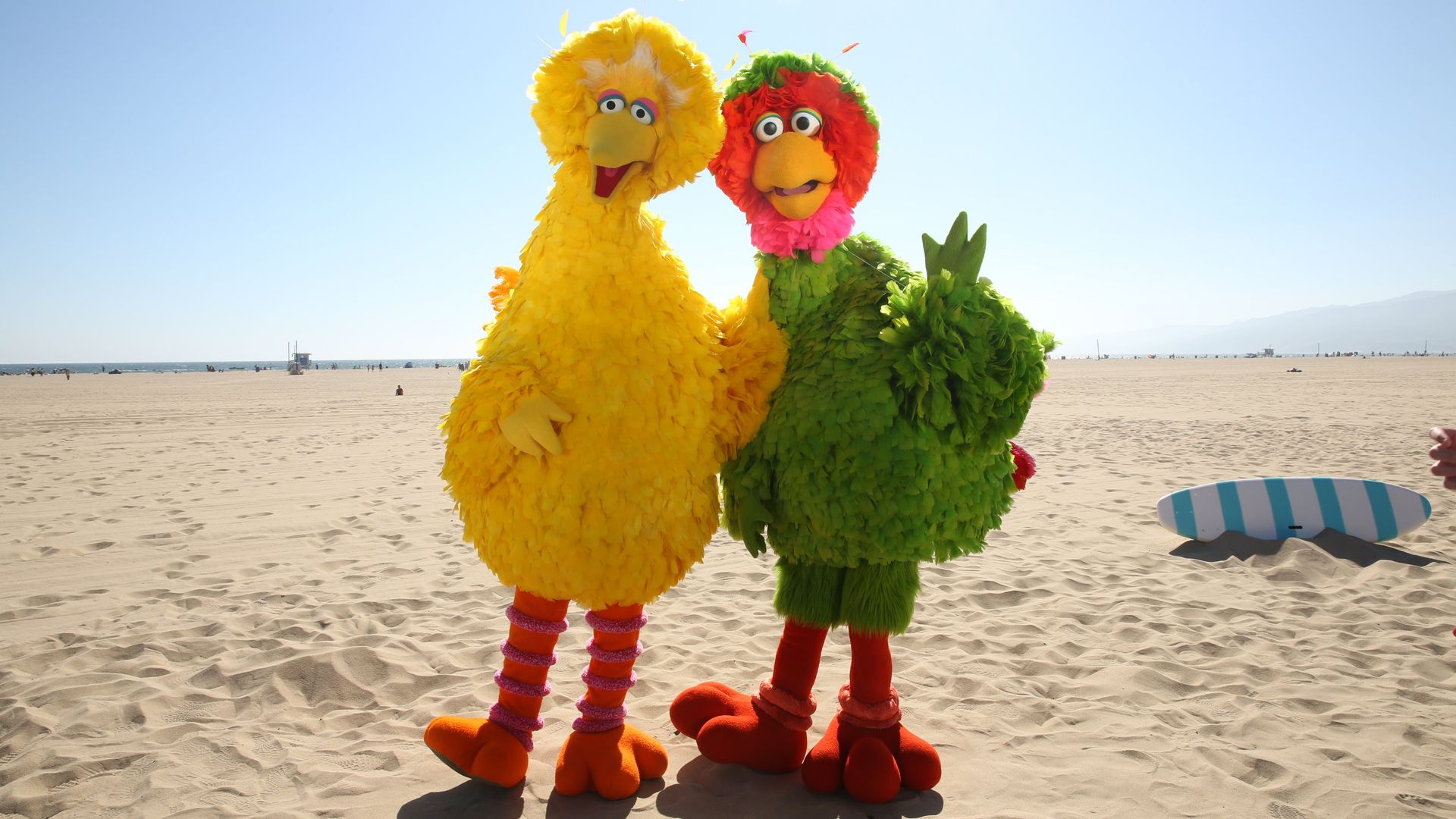 Big Bird and his Mexican cousin, Abelardo, stand side by side on a sandy beach