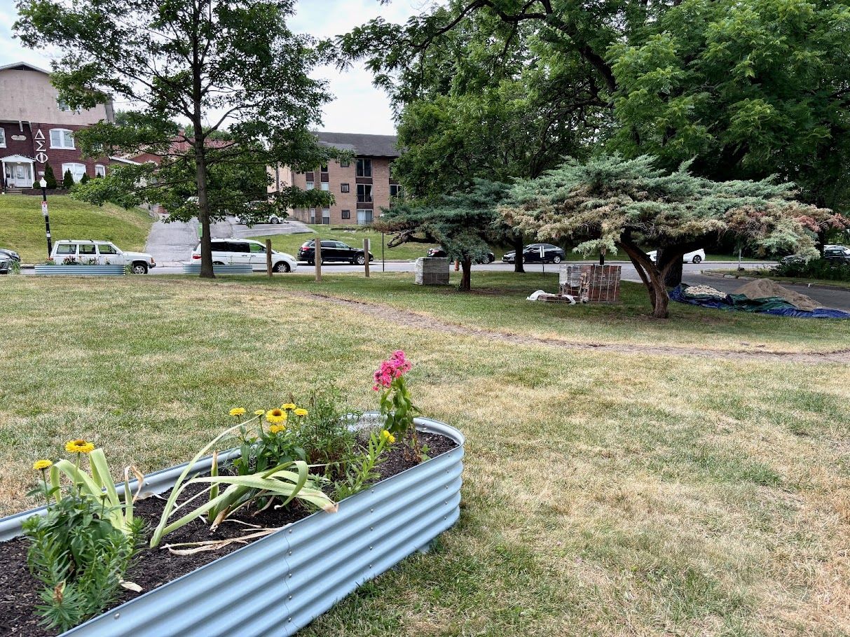 Pollinator beds are seen in a park. 