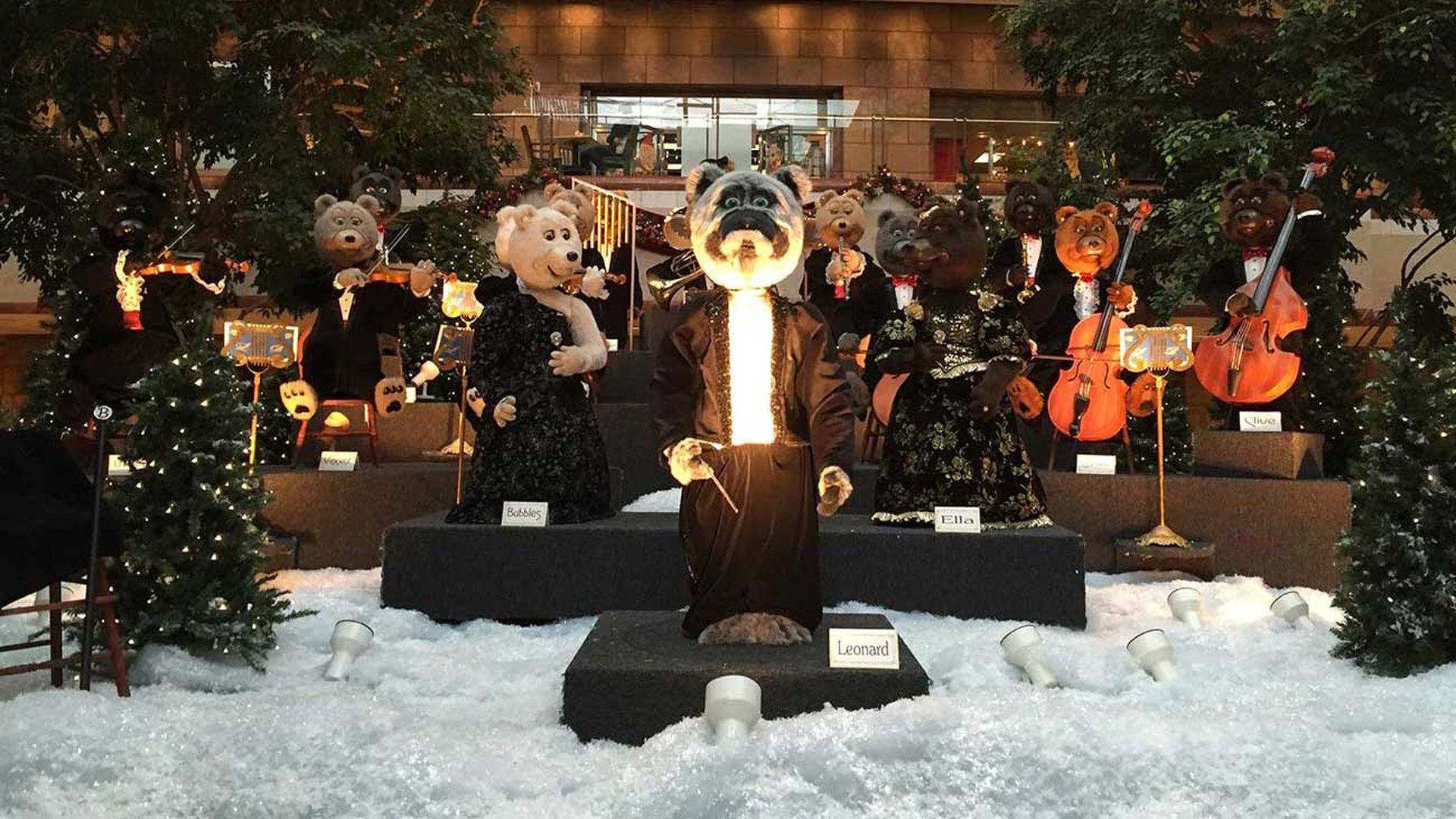 Founders-Hall-Bears