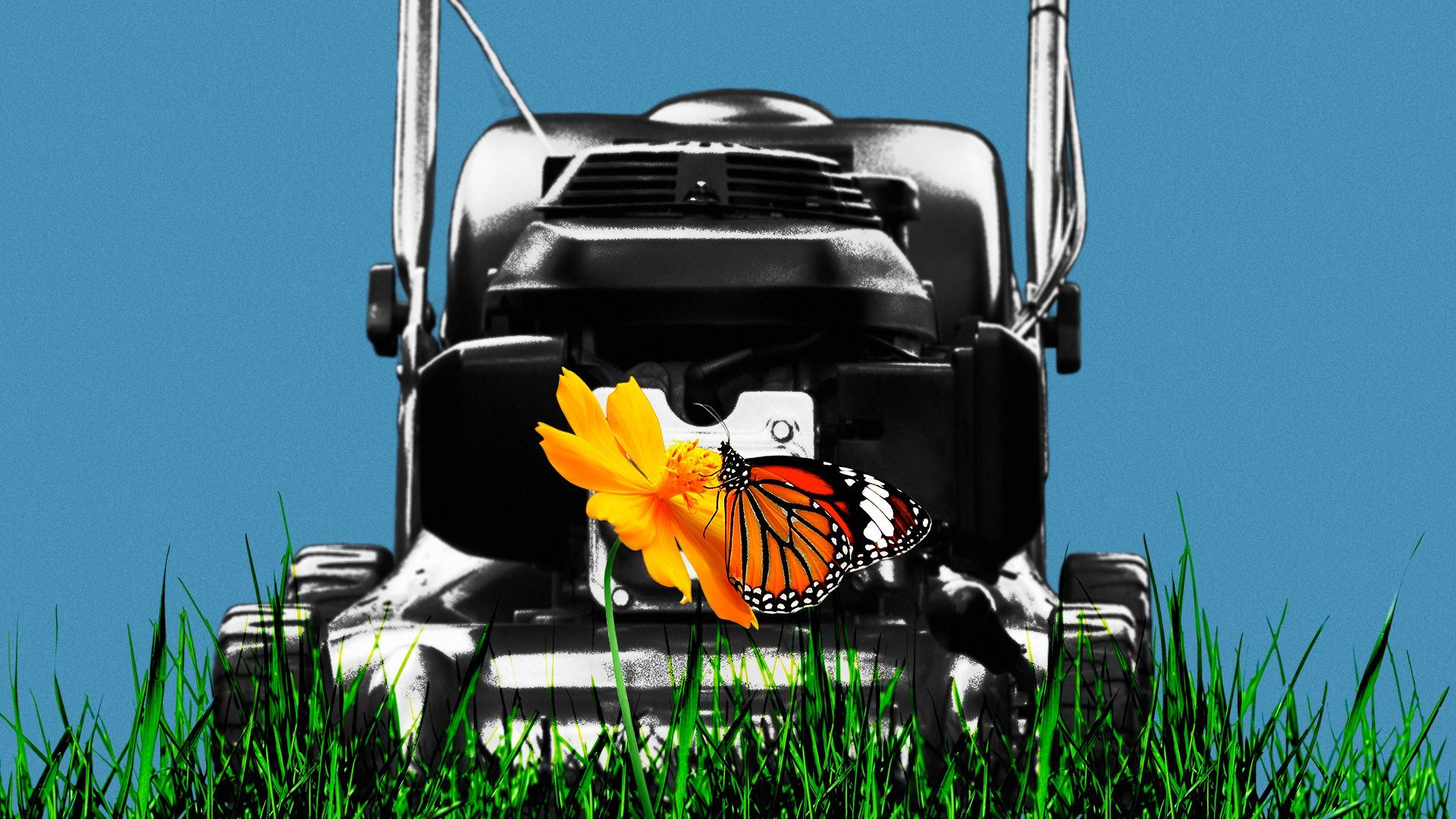 Illustration of a lawnmower towering over a butterfly on a flower.