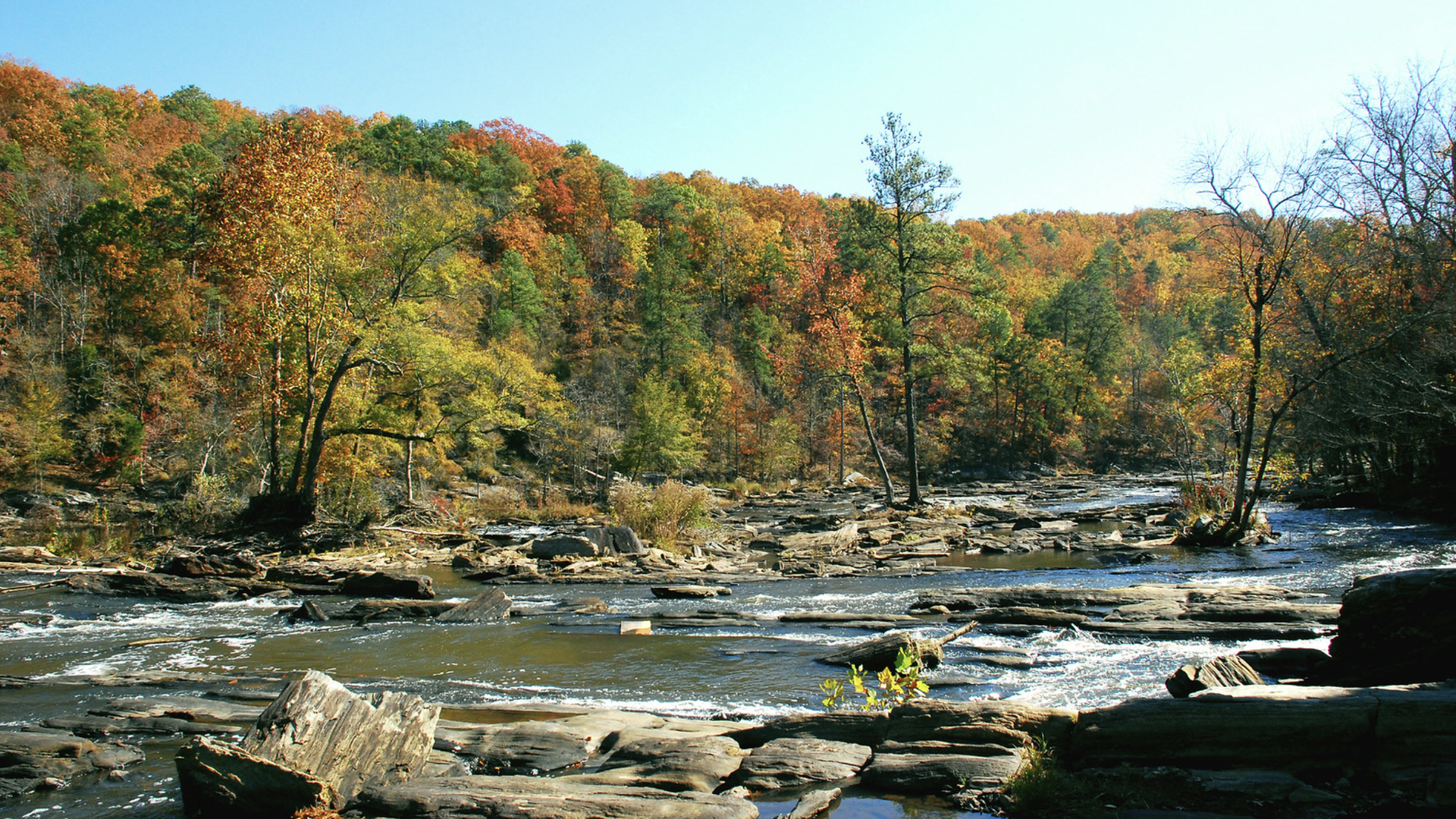 A creek at Sweetwater Creek State Park with water rushing over rocks as the leaves change from green to autumn colors