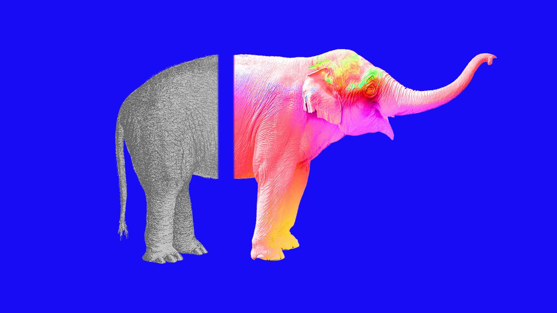 An illustration of a Republican elephant cut down the middle