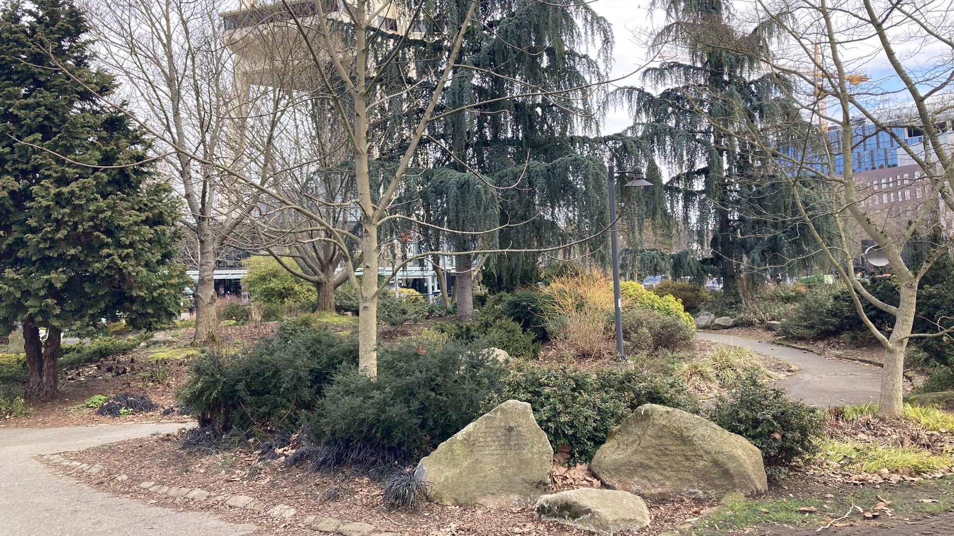 A tree with inscribed rocks at its base in front of the Seattle Space Needle. 