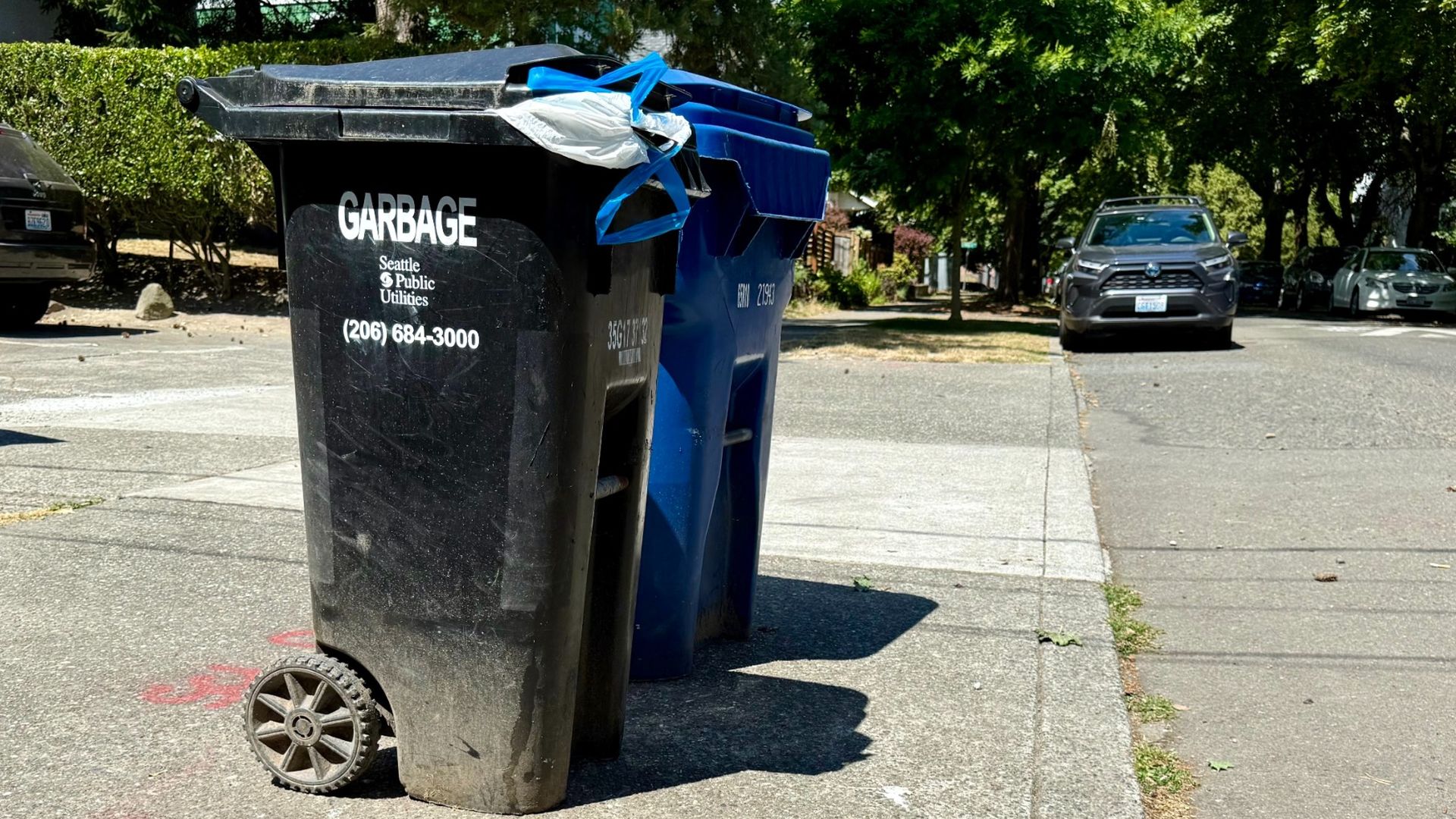 A garbage bin and recycle bin sit on a driveway by a street. The black garbage bin reads "Garbage, Seattle Public Utilities" with a phone number.