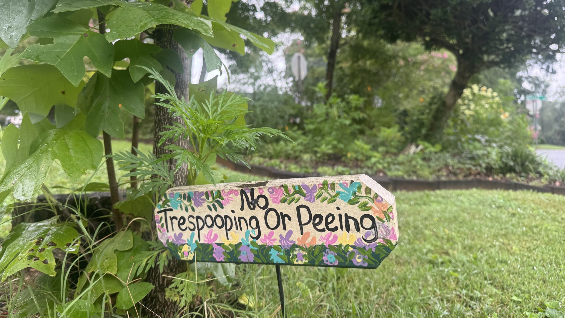 Hand-painted wooden sign in grass near a tree reads "No Trespooping Or Peeing" with colorful flowers and leaves decorating the border, set in a green garden area.