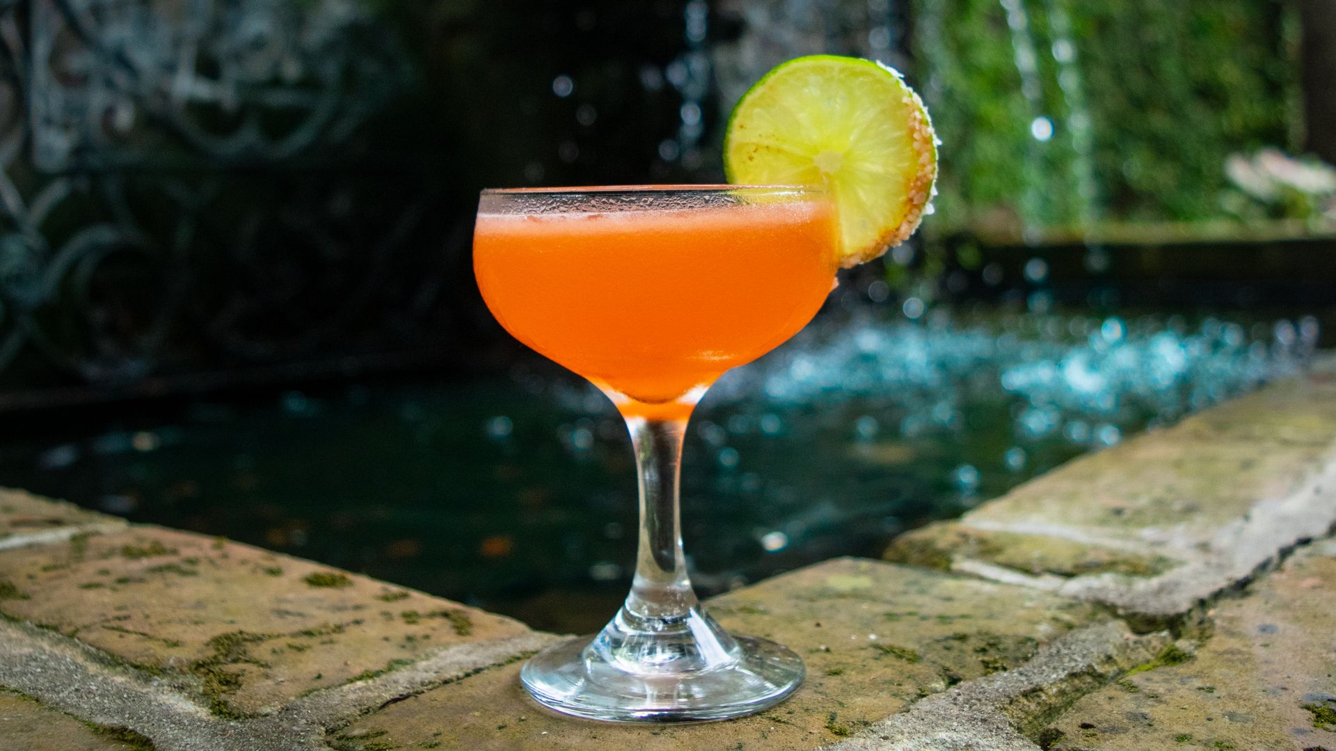 A coupe glass is filled with an orange cocktail and garnished with a lime slice. The glass is perched on bricks next to a water fountain.