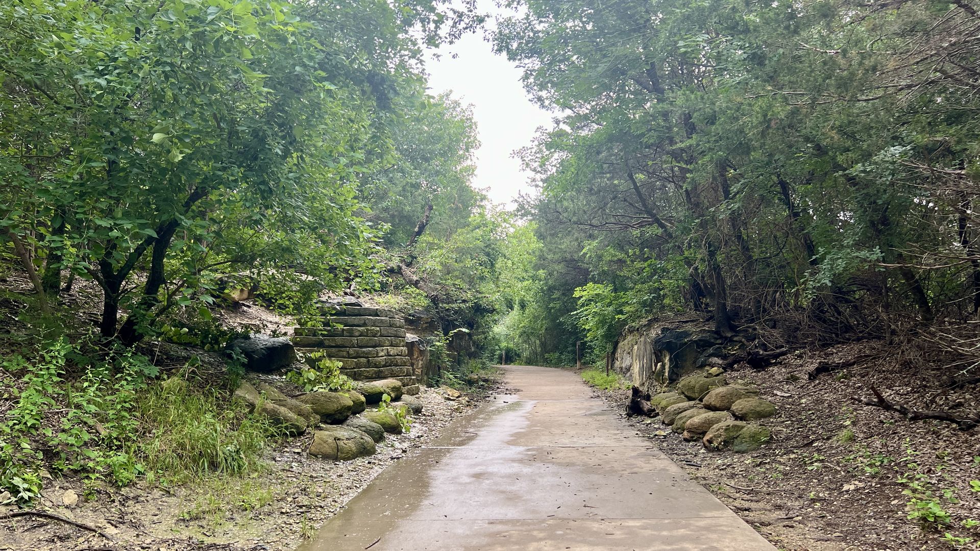 A nature trail with trees on either side