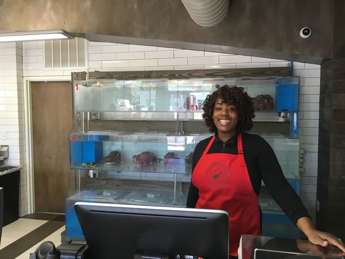 fish tanks meat and fish co