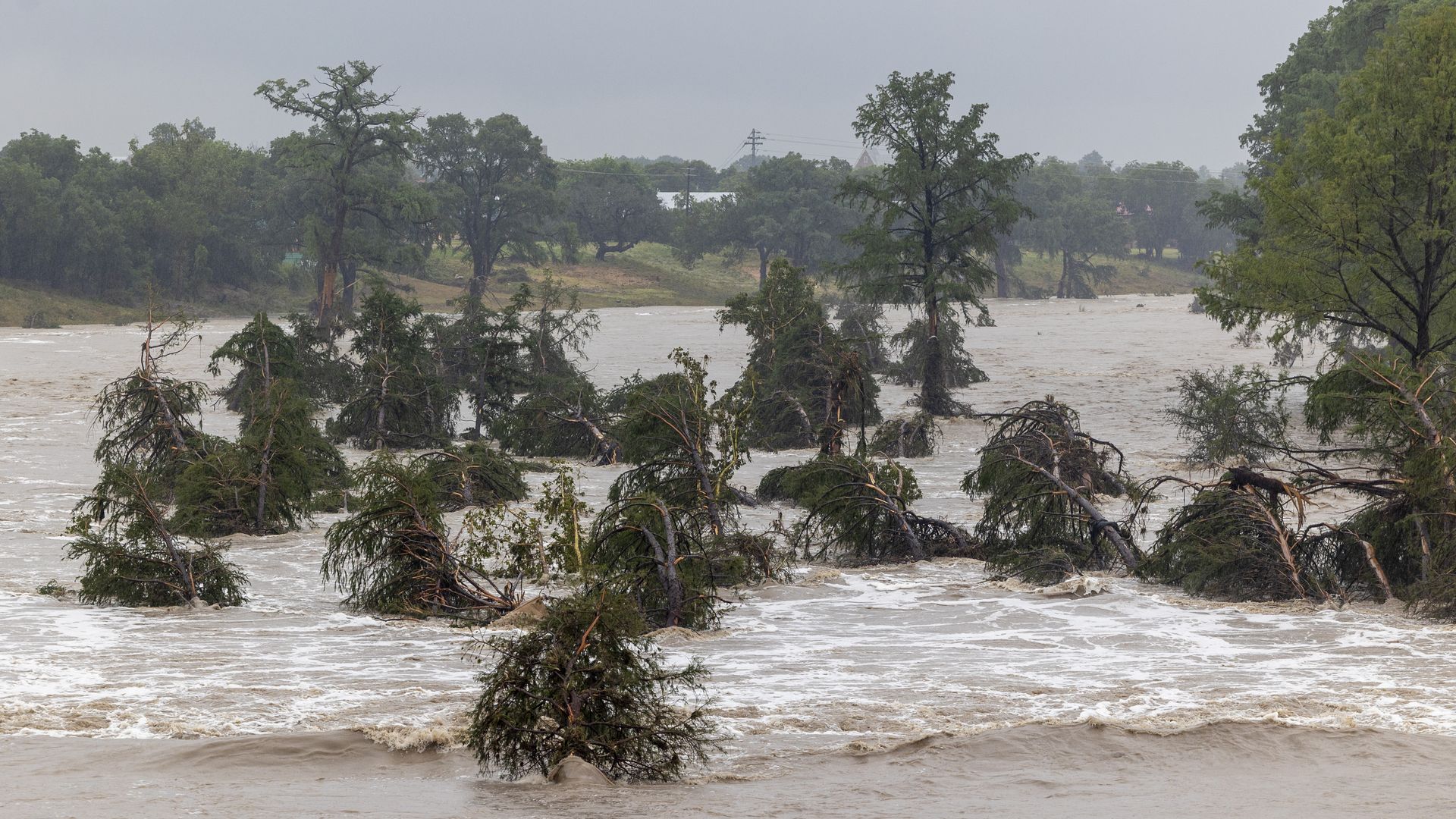 Flooding on the Guadalupe River in Kerrville shows trees partly submerged in muddy water.