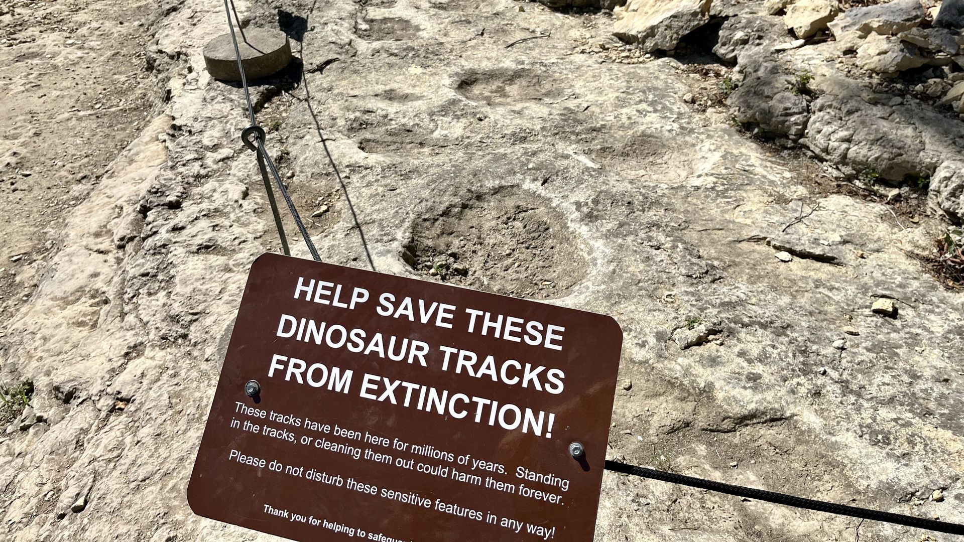 A large dinosaur track in the ground is behind a wire to keep people back with a sign that says "Help save these dinosaur tracks from extinction!"