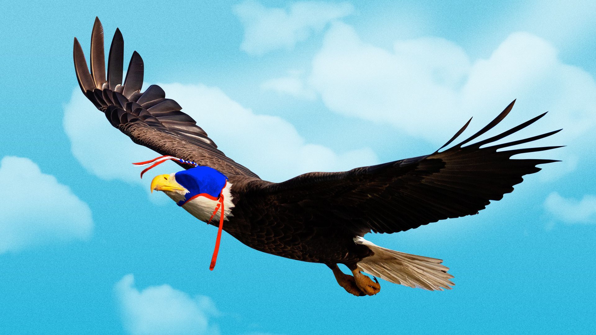 Illustration of an eagle flying with a hood on that has an American themed pattern on it.