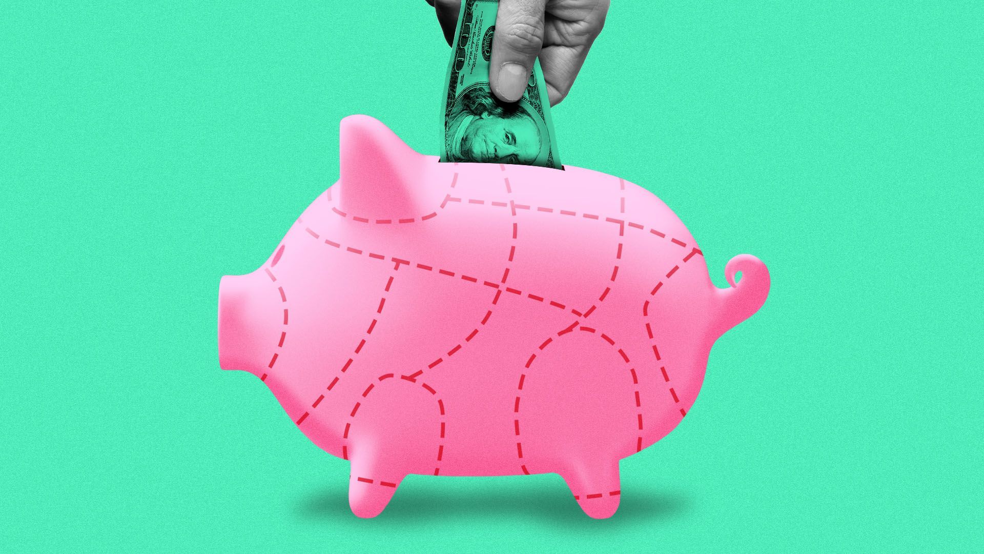 Illustration of a hand putting a hundred dollar bill in a piggy bank with lines on it like a butcher diagram