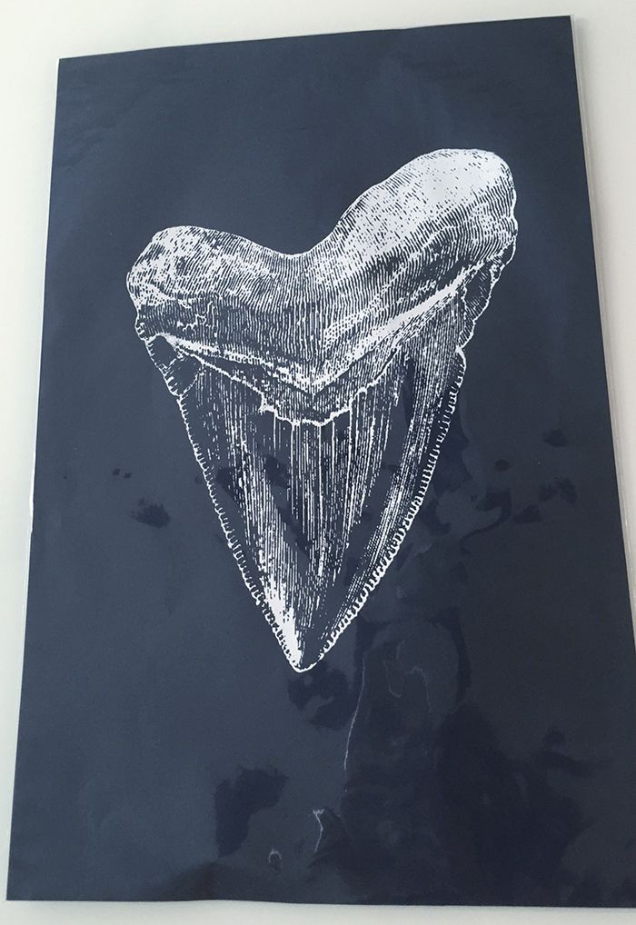 shark-tooth-print