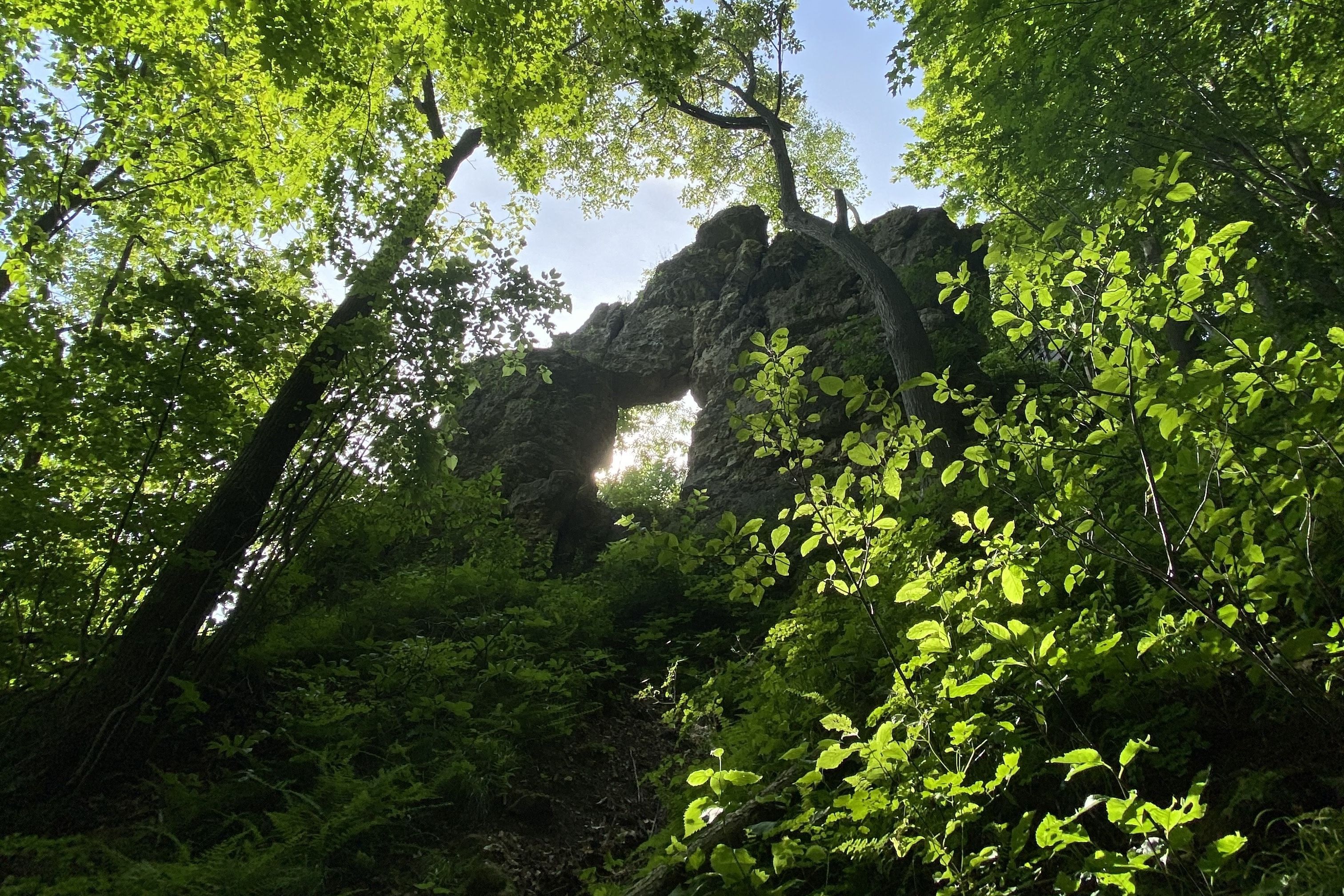 A limestone arch with the sun shining through it in a forest surrounded by leaves