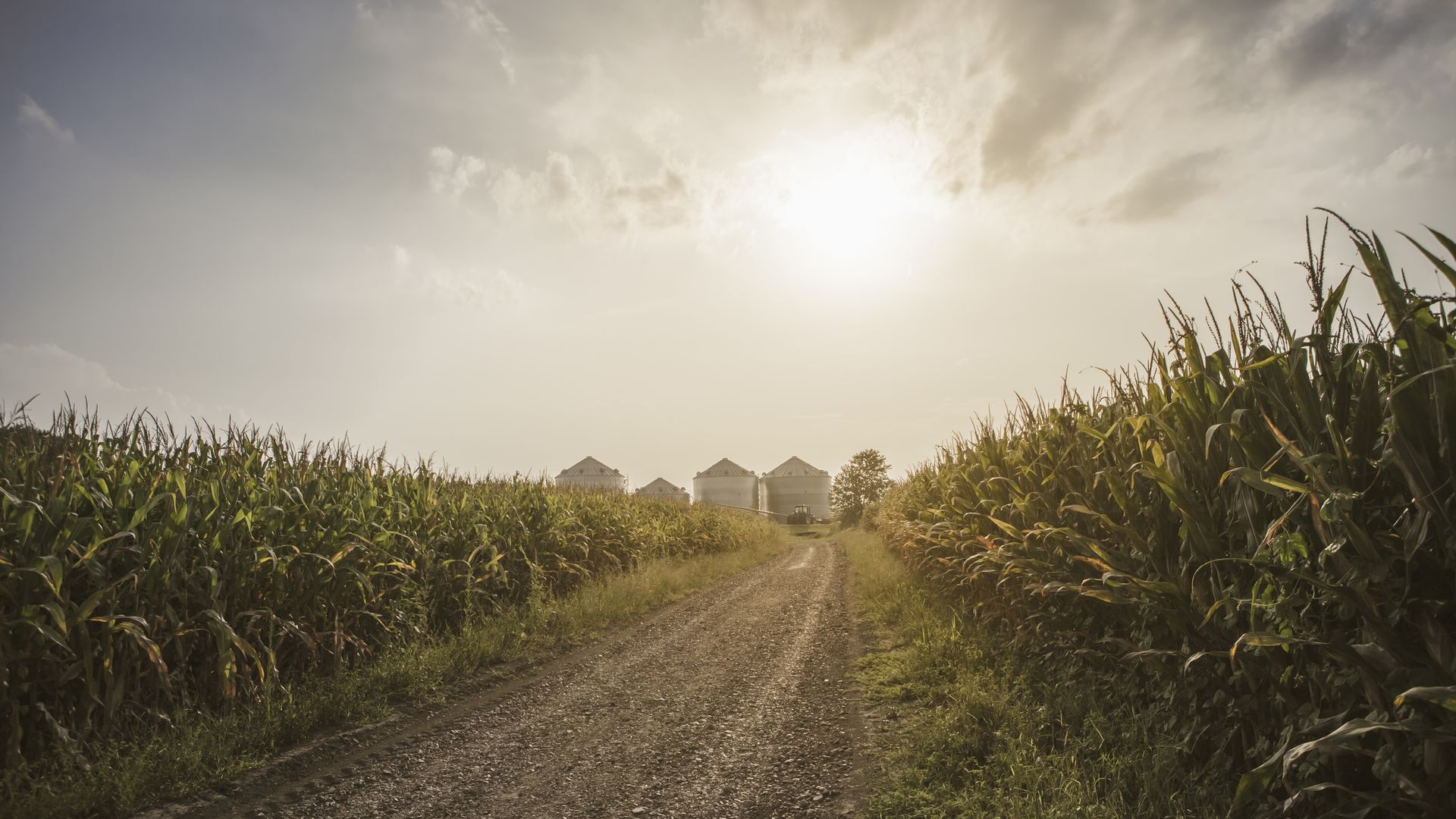 The dire state of rural mental health care