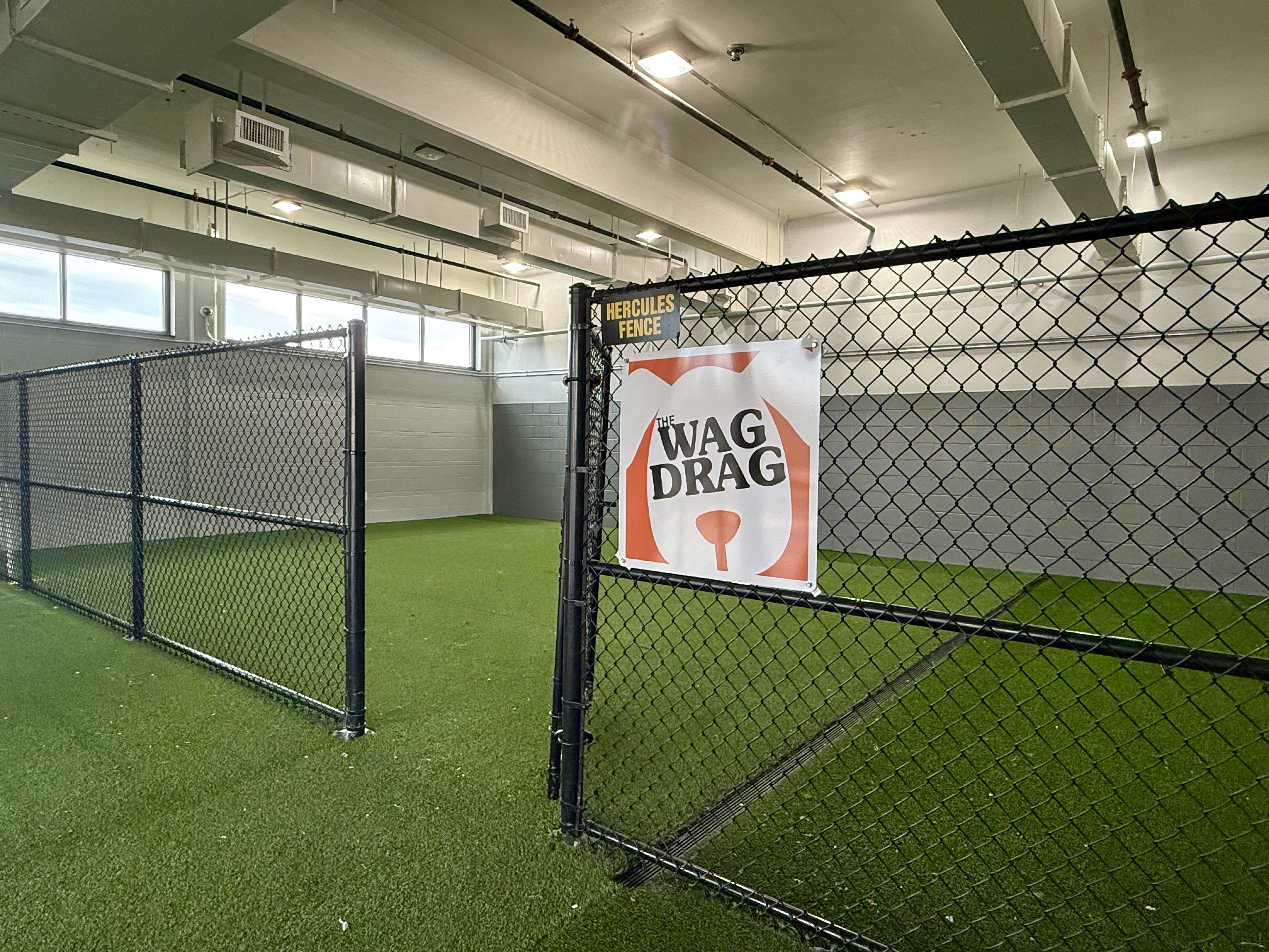 Indoor area with green turf flooring, enclosed by black chain-link fences. A sign on the fence reads "HERCULES FENCE" and a banner says "THE WAG DRAG" with a stylized orange logo.