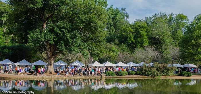 festival-in-the-park-wide