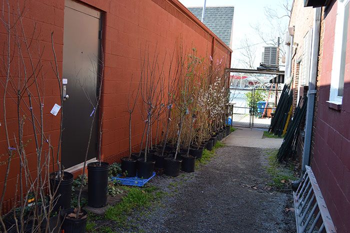 plants-renfrow-hardware