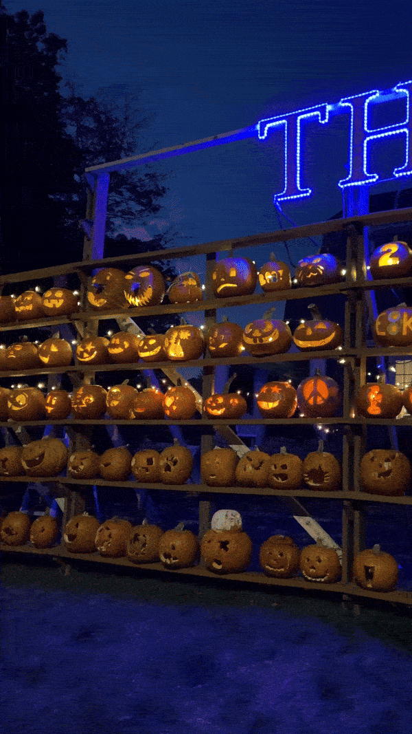 Thrive shines above the Great Elizabeth Pumpkin Wall.