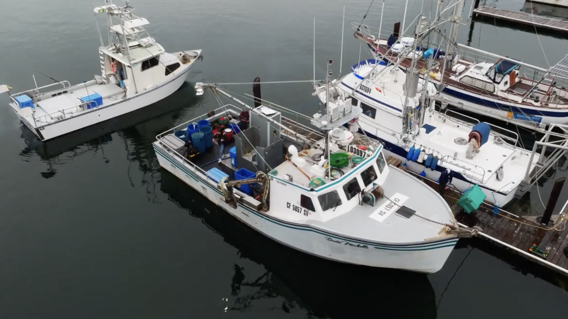 A photo of four white commercial fishing boats in harbor. One has a gray metallic box aboard, containing the Shinkei Poseidon fish-processing system.