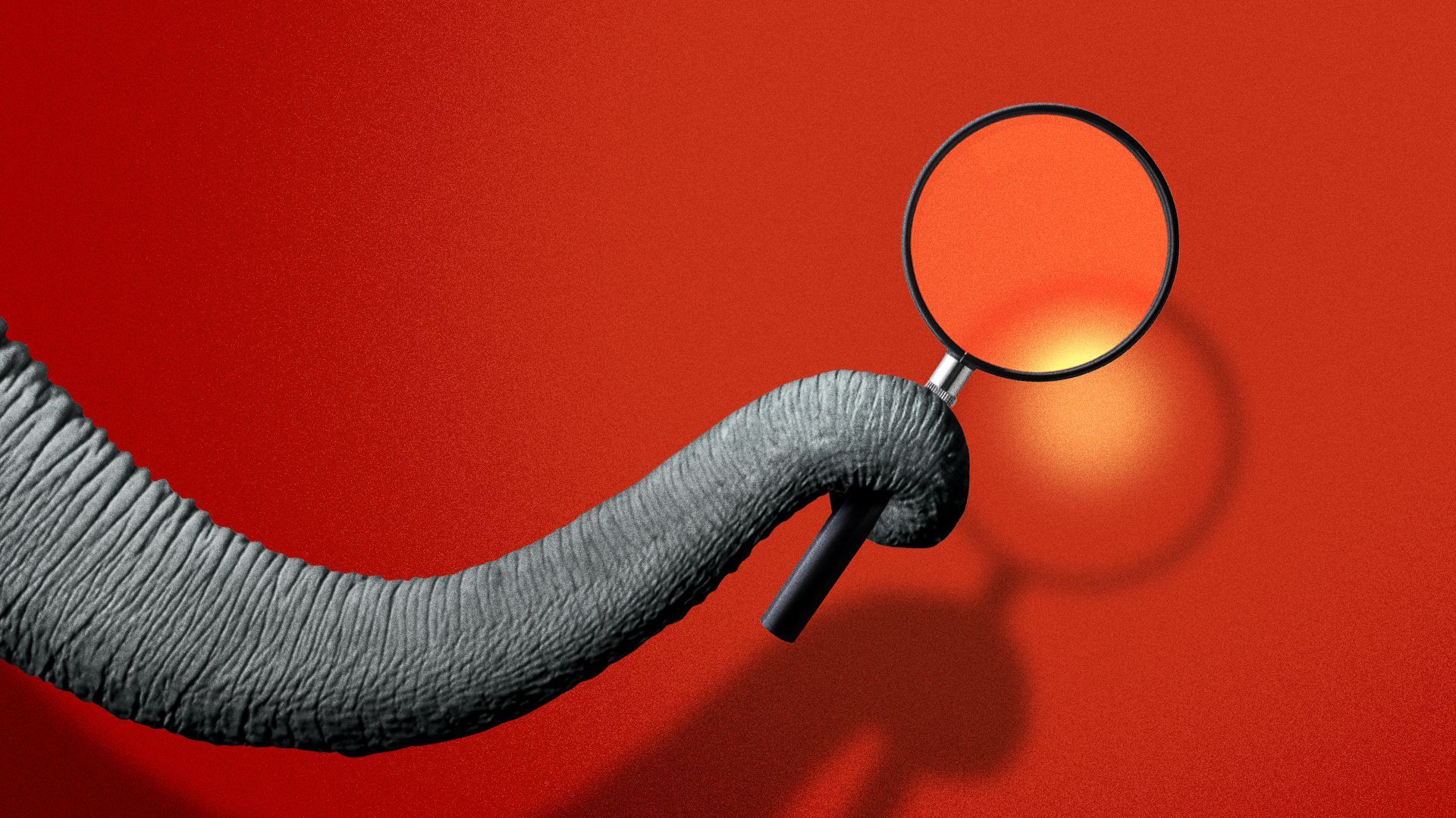 Illustration of an elephant trunk holding a magnifying glass. 