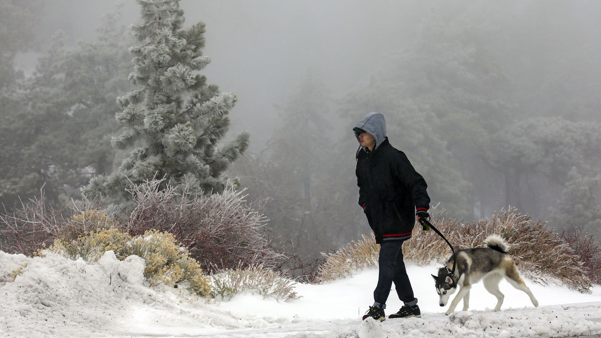   Riri Nguyen walks his dog Elsa at Inspiration Point on Saturday, Dec. 25, 2021 in Wrightwood, CA.