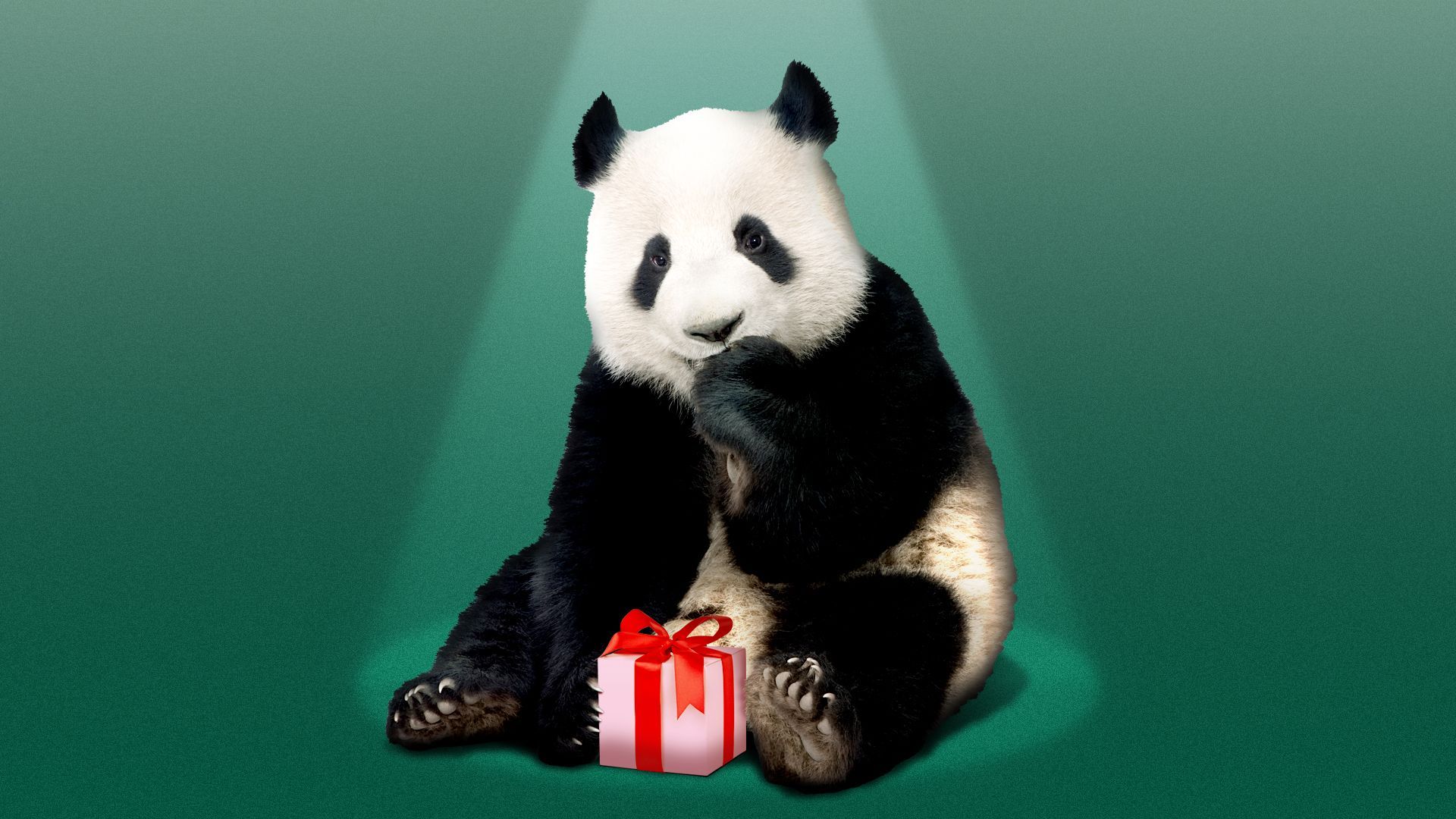 Illustration of a panda bear in a spotlight holding a small gift
