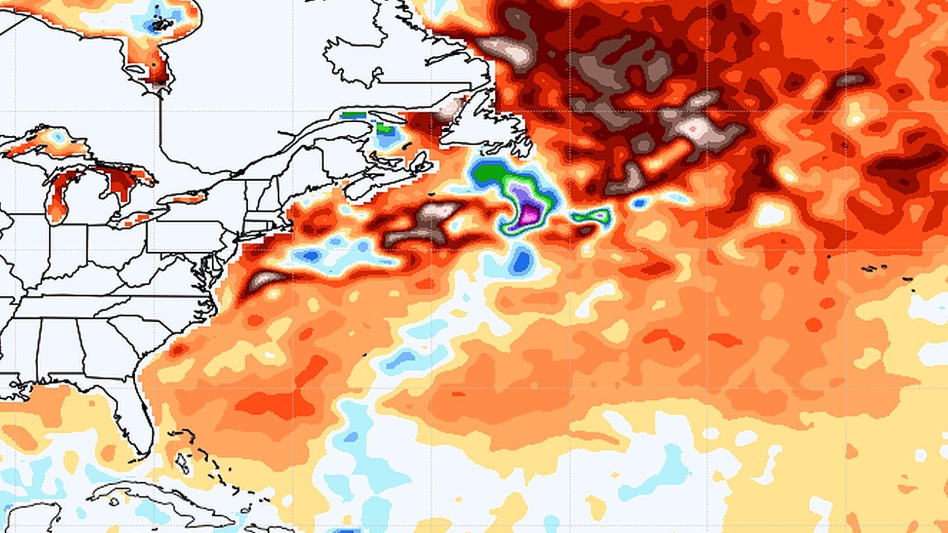 Record North Atlantic marine heat wave threatens marine life