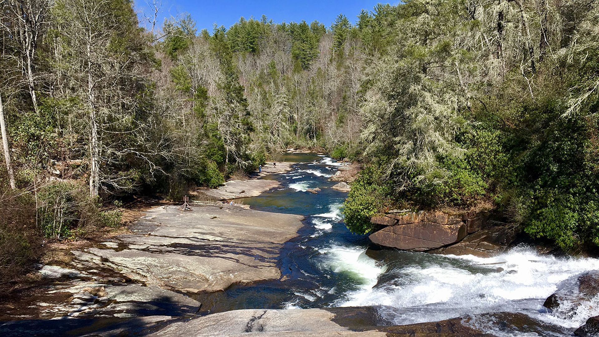 dupont-forest-waterfall-hike-charlotte