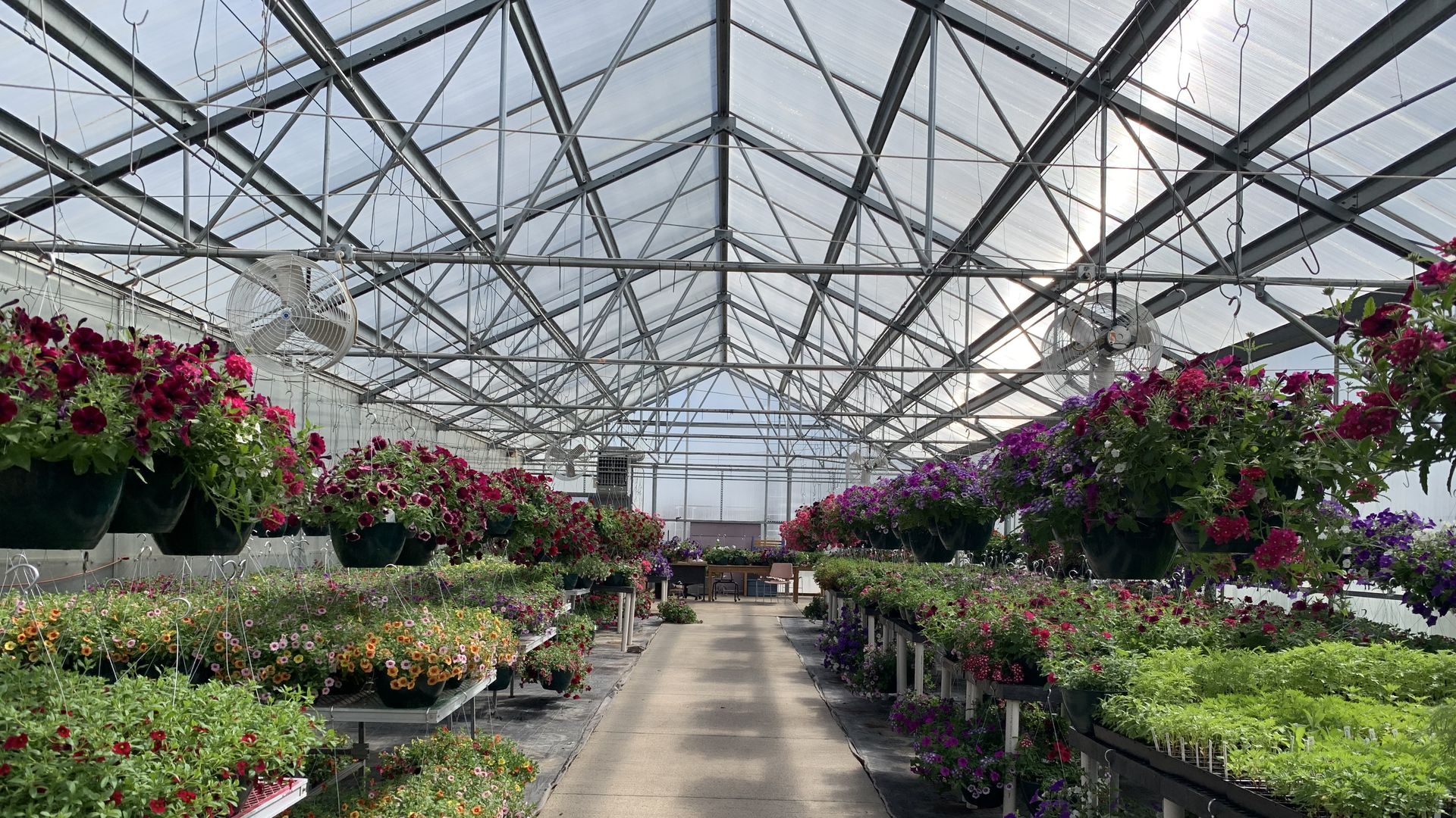 Central Campus greenhouse