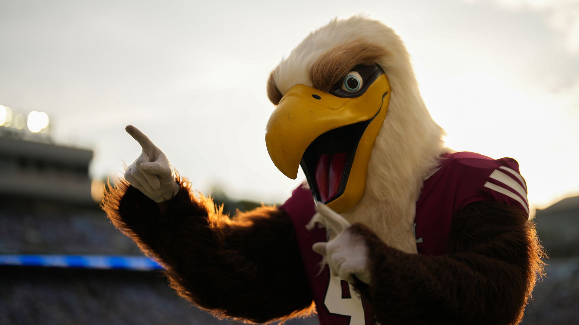 An eagle mascot