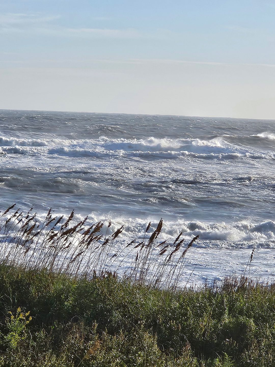 Image of a beach and dunes. 