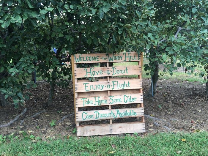 Windy Hill Orchard