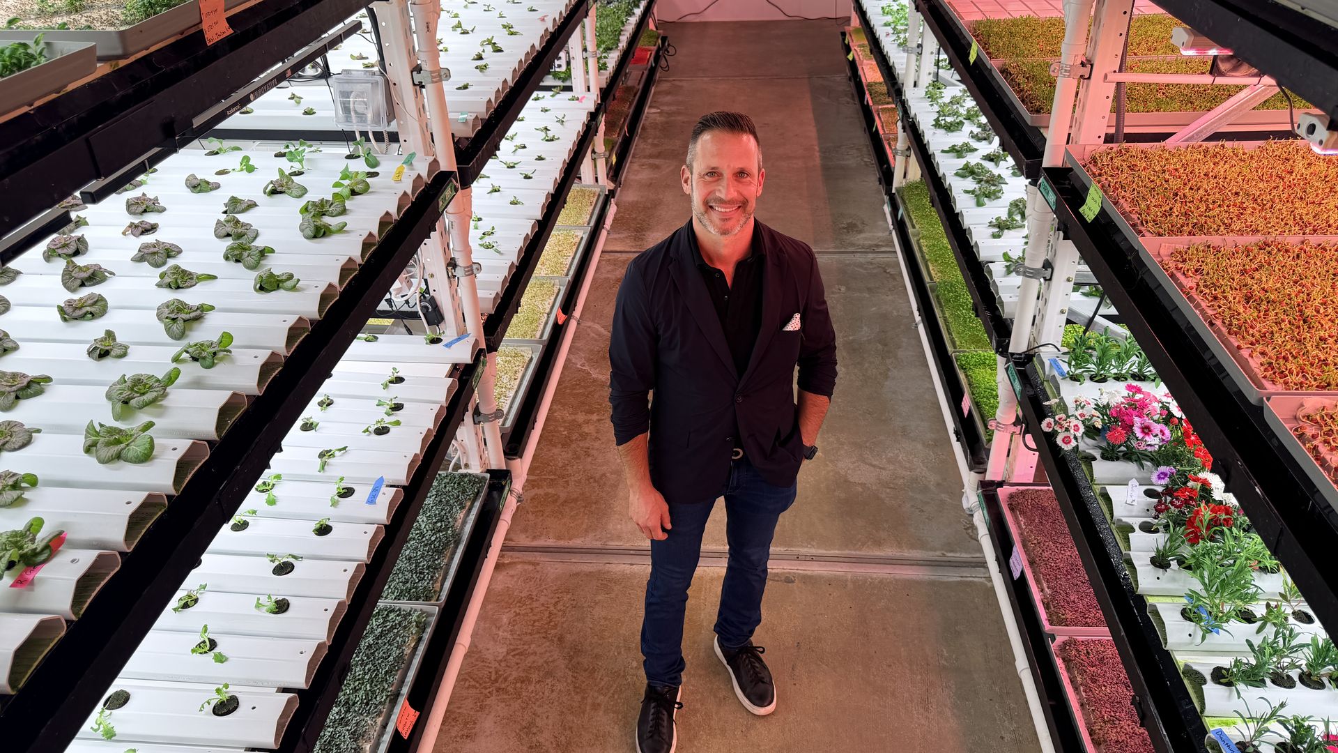 Smiling man in a dark blazer stands in a high-tech vertical farm, surrounded by multi-level shelves of leafy greens in white trays on black racks under pink grow lights.