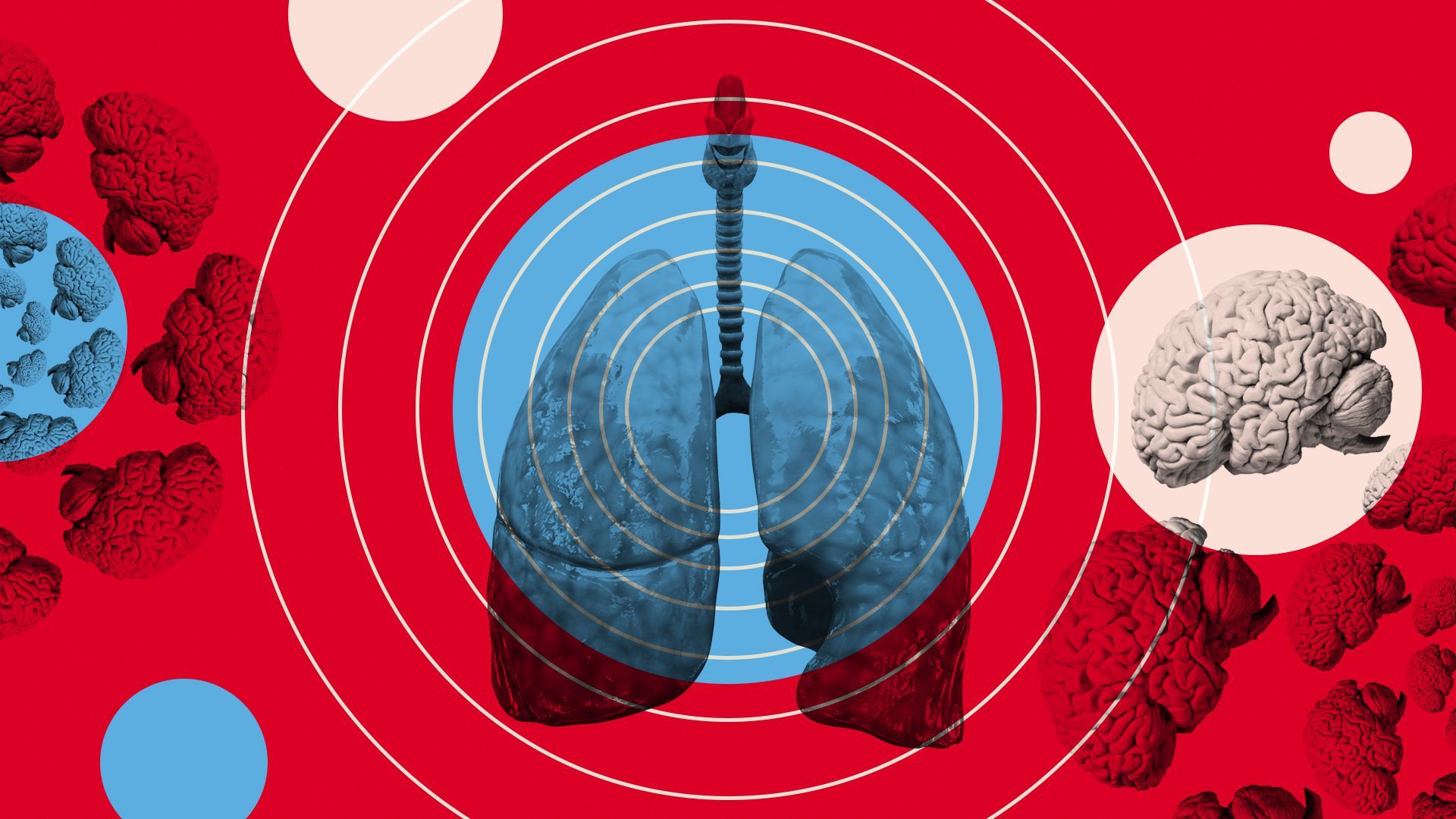 Illustration of a lung and brains organized in radial patterns. 